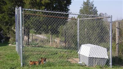 1115 Wildcat Road Lawrenceburg, KY 40342 - Photo 19 of 23 Penned dog area. I don't think that dog