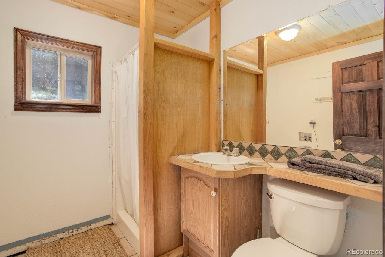 264 North Fork Road Grant, CO 80448 - Photo 25 of 34 a bathroom with a sink toilet and mirror