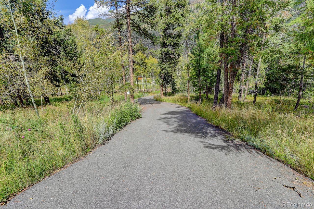 264 North Fork Road Grant, CO 80448 - Photo 33 of 34 a view of a lake view with a garden