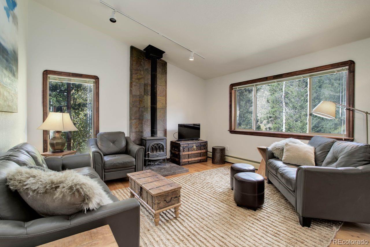 264 North Fork Road Grant, CO 80448 - Photo 6 of 34 a living room with furniture and a large window
