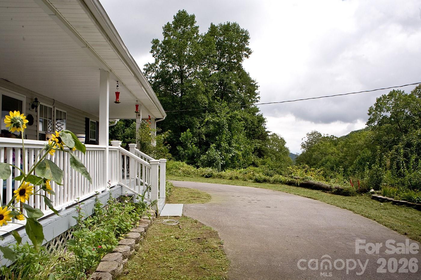 165 Peepeye Cove Road Leicester, NC 28748 - Photo 4 of 24