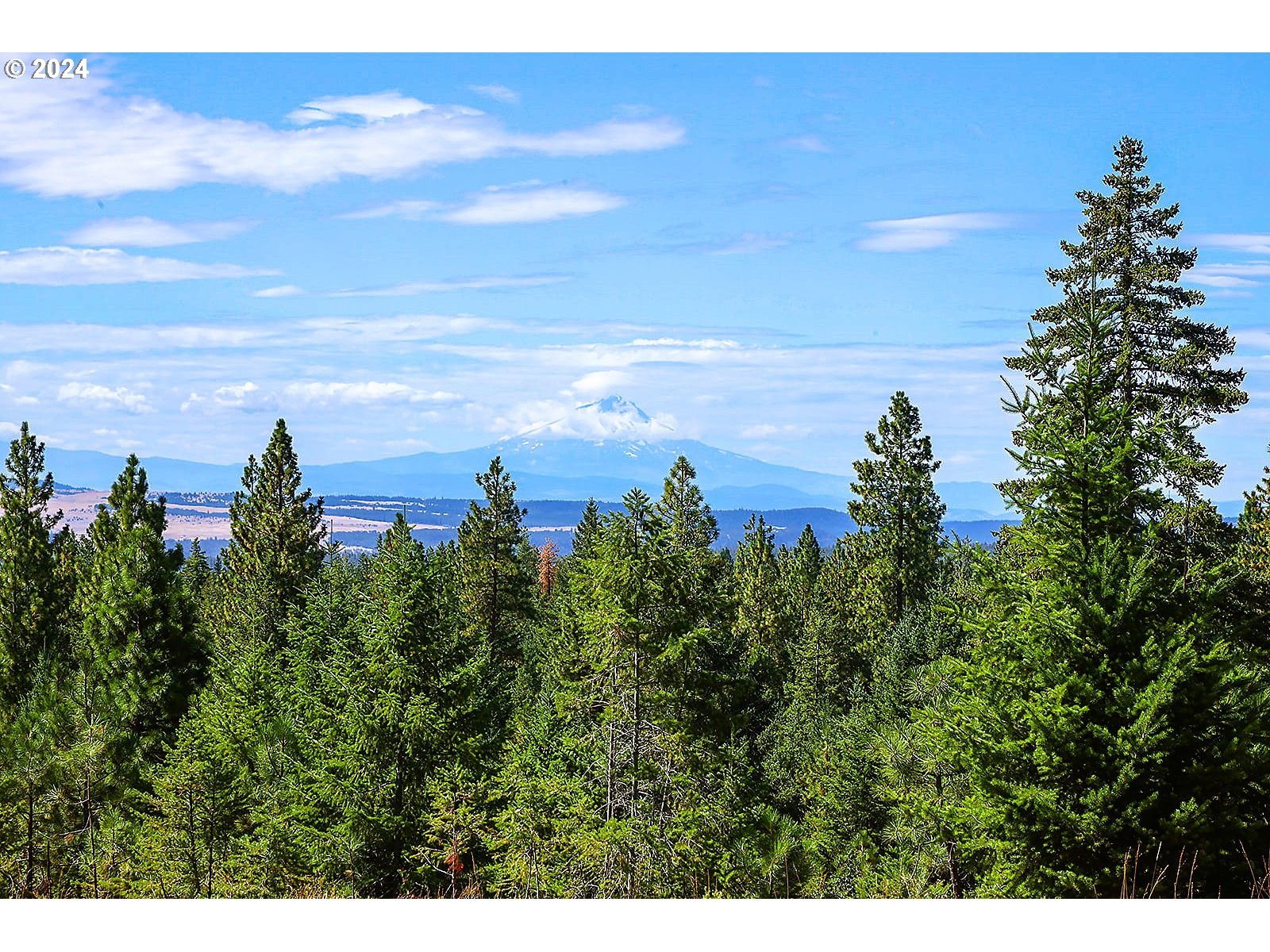 Ranger Road, Unit 3 Goldendale, WA 98620 - Photo 18 of 41 View