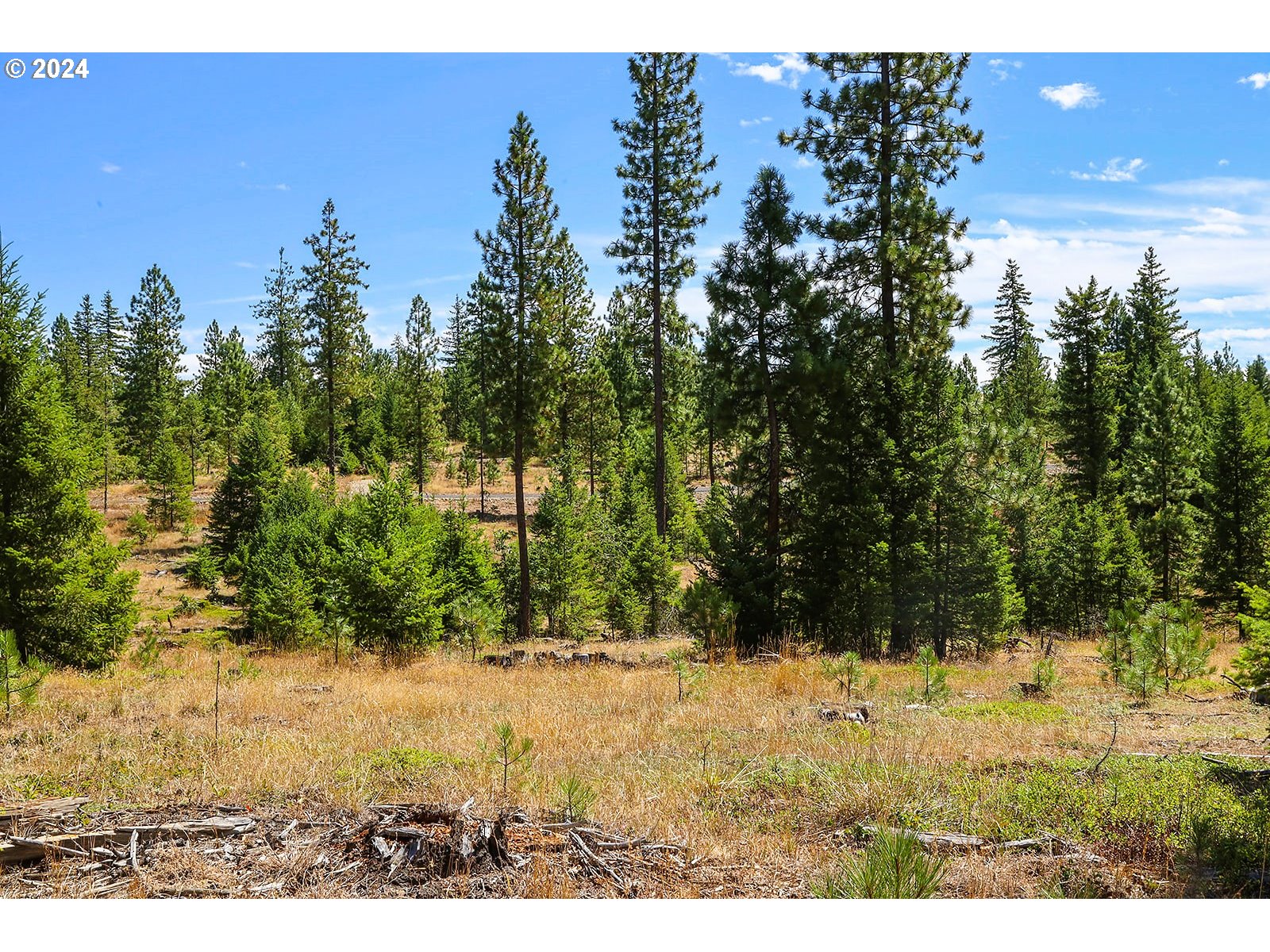 Ranger Road, Unit 3 Goldendale, WA 98620 - Photo 22 of 41 View