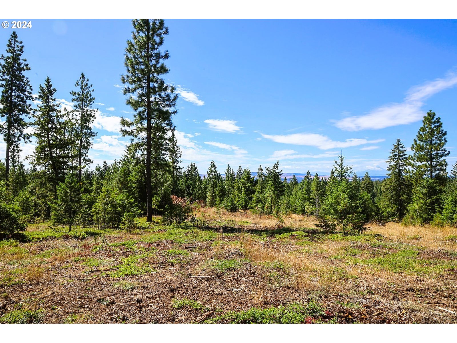 Ranger Road, Unit 3 Goldendale, WA 98620 - Photo 23 of 41 Buildable Area