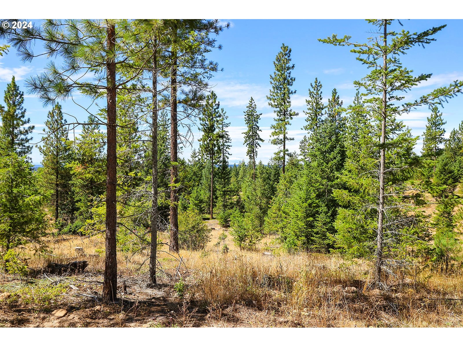 Ranger Road, Unit 3 Goldendale, WA 98620 - Photo 25 of 41 Gallery Image 25