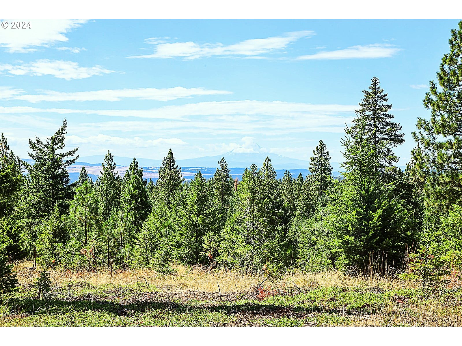 Ranger Road, Unit 3 Goldendale, WA 98620 - Photo 30 of 41 Gallery Image 30