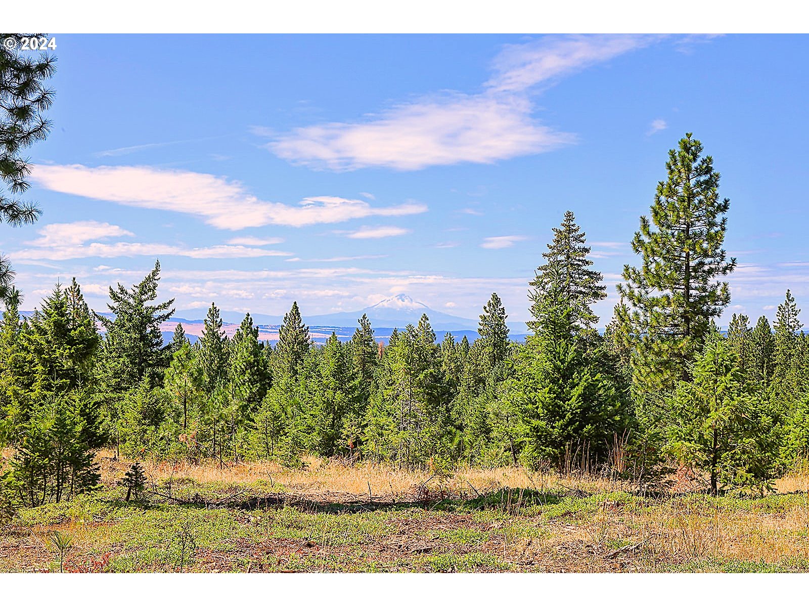 Ranger Road, Unit 3 Goldendale, WA 98620 - Photo 32 of 41 Gallery Image 32