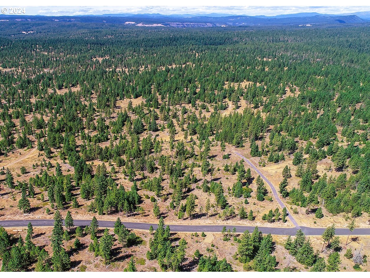 Ranger Road, Unit 3 Goldendale, WA 98620 - Photo 40 of 41 View