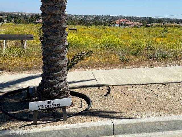 a view of a water fountain and a floor to ceiling window