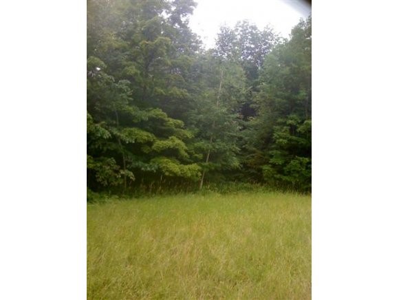 3 Pasture Lane Dover, VT 05341 - Photo 1 of 1