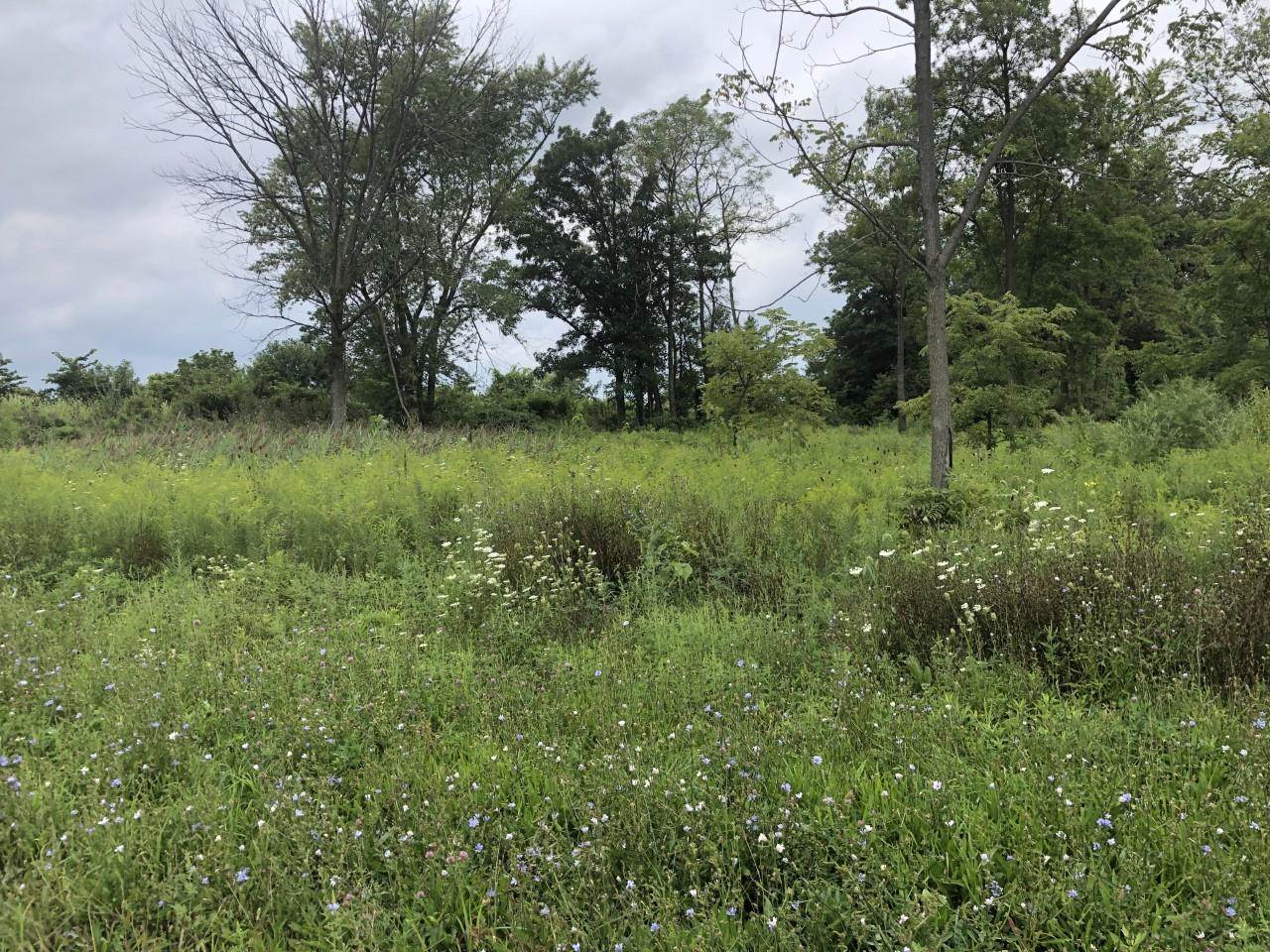 8900 Gerardot Road Fort Wayne, IN 46816 - Photo 3 of 3