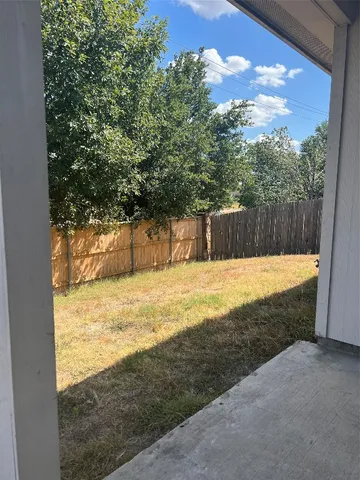 a view of a yard with a large tree