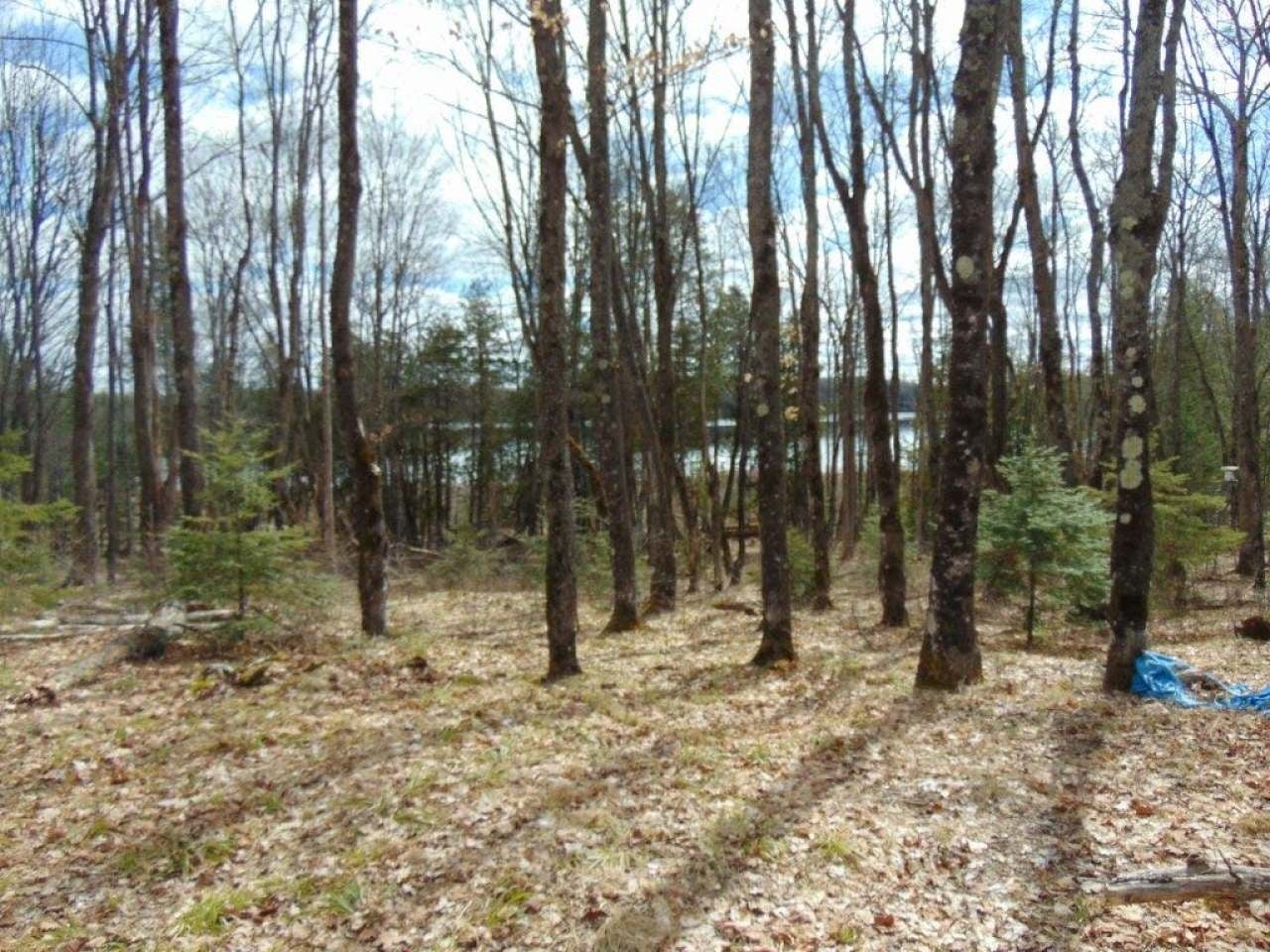 8064 Powderhorn Road Presque Isle, WI 54557 - Photo 17 of 26 Gallery Image 17