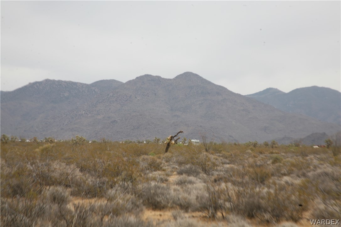 245-18-266 Alan Road Yucca, AZ 86438 - Photo 19 of 54