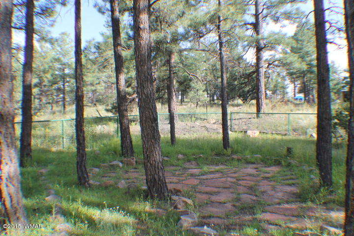 6936 Aces High Road Show Low, AZ 85901 - Photo 55 of 65 Gallery Image 55