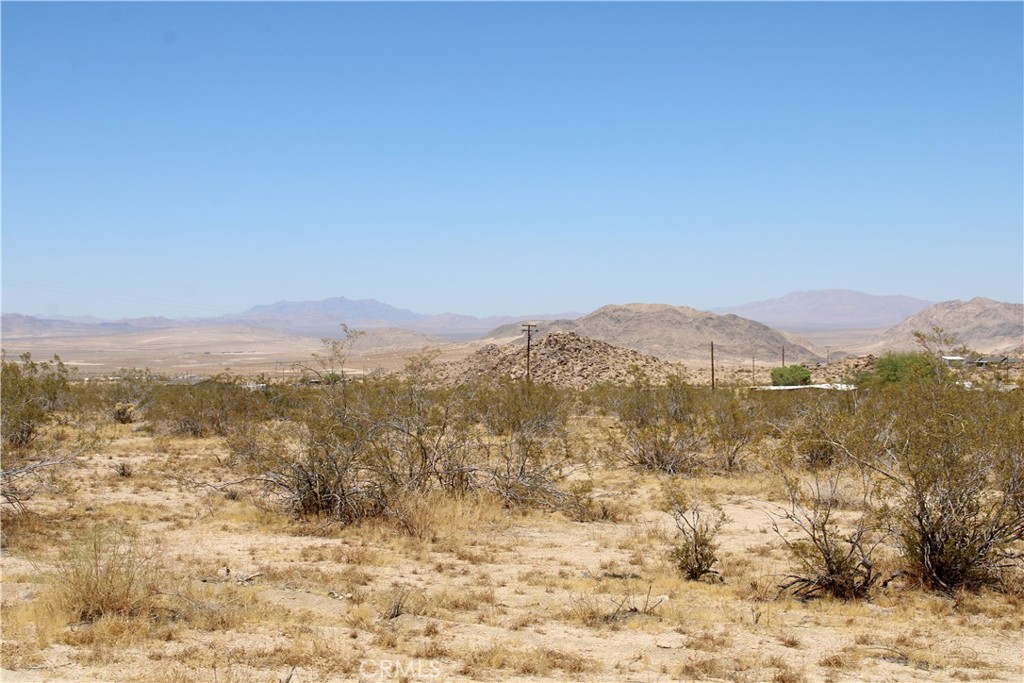 5-ac Joshua Tree Road Johnson Valley, CA 92285 - Photo 15 of 21 Gallery Image 15