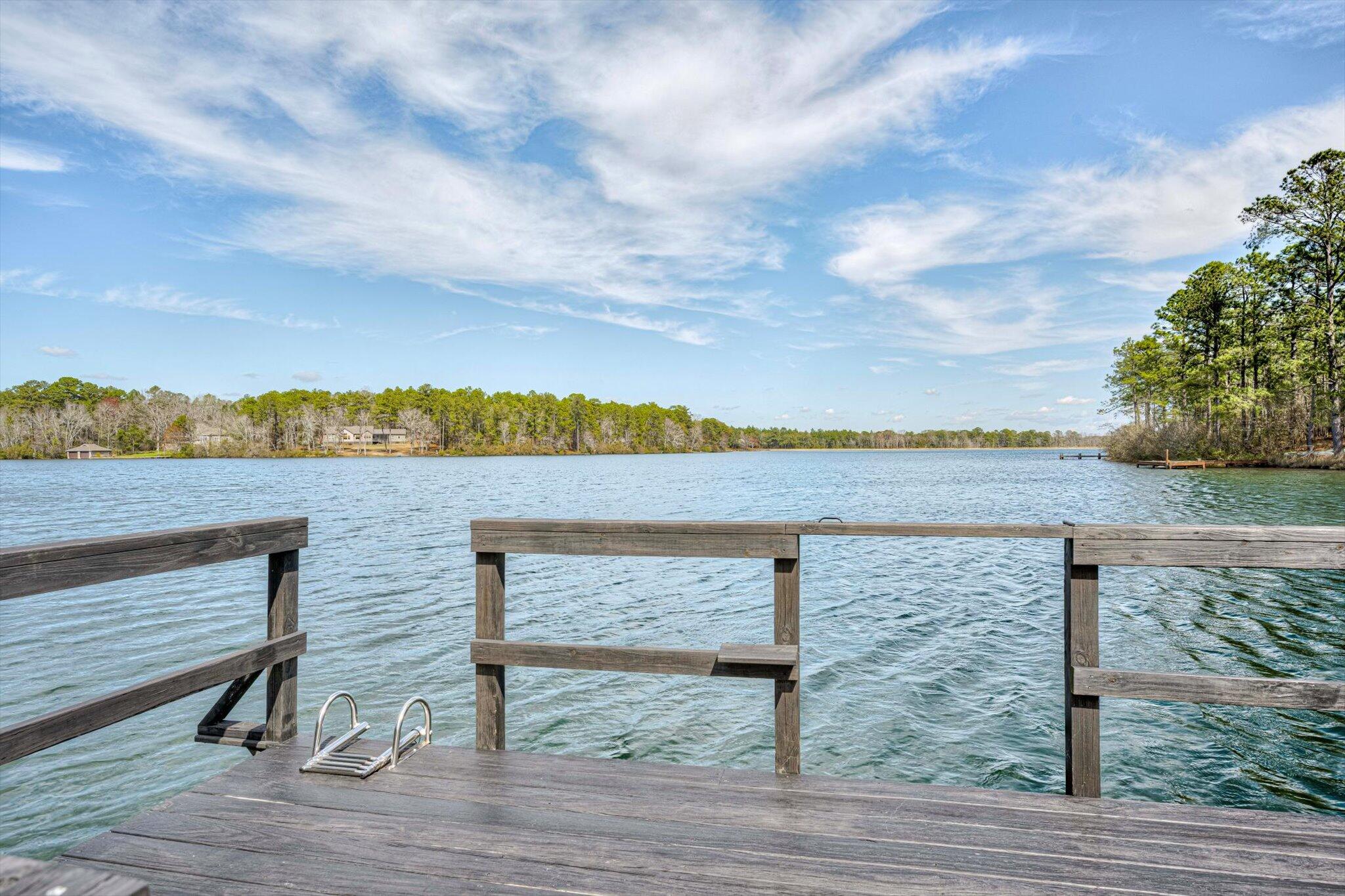 681-693 Edisto Lake Road Wagener, SC 29164 - Photo 26 of 48