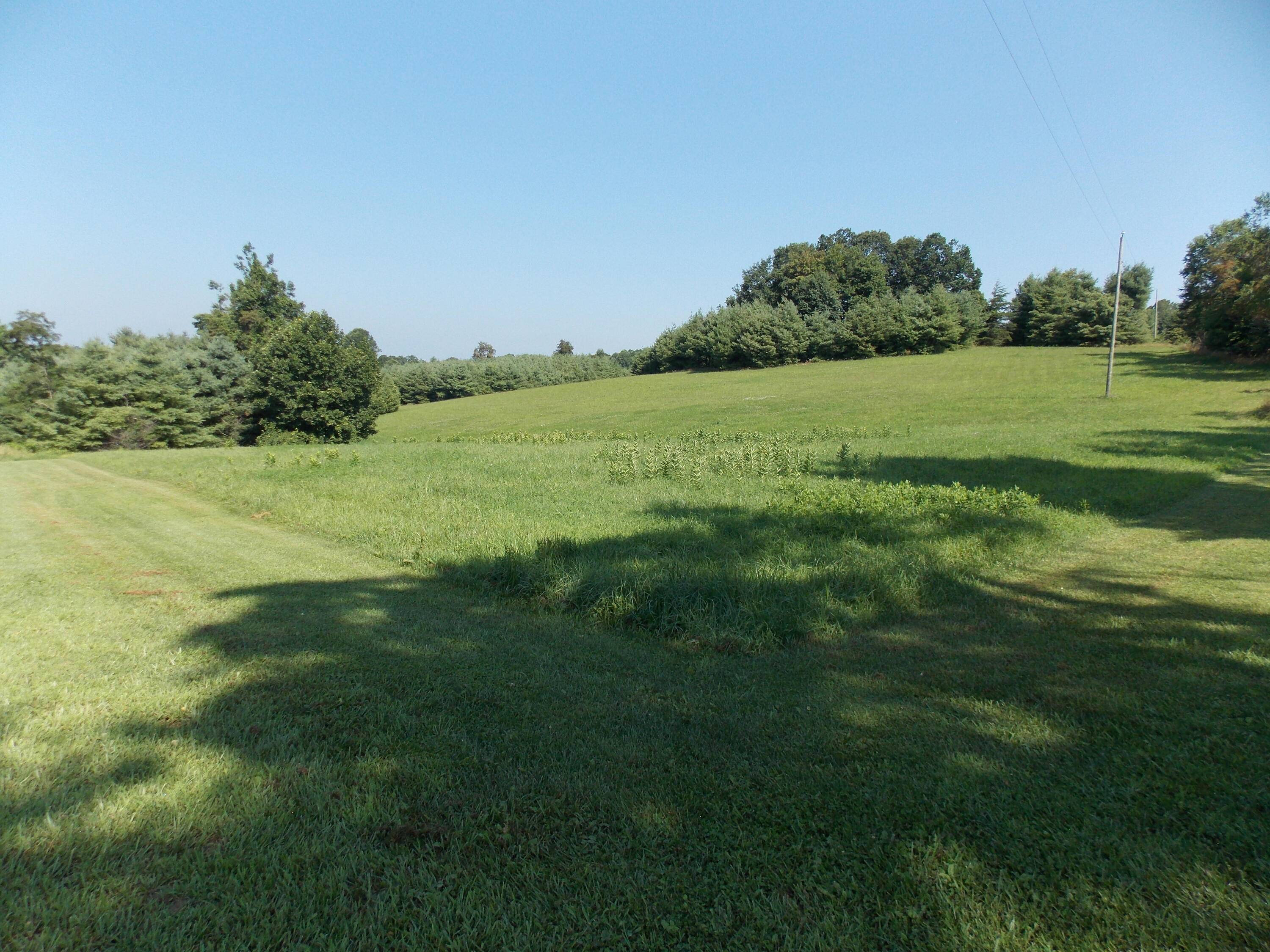 0 Roberson Mill Road Southeast Floyd, VA 24091 - Photo 2 of 26 a view of a grassy field with trees