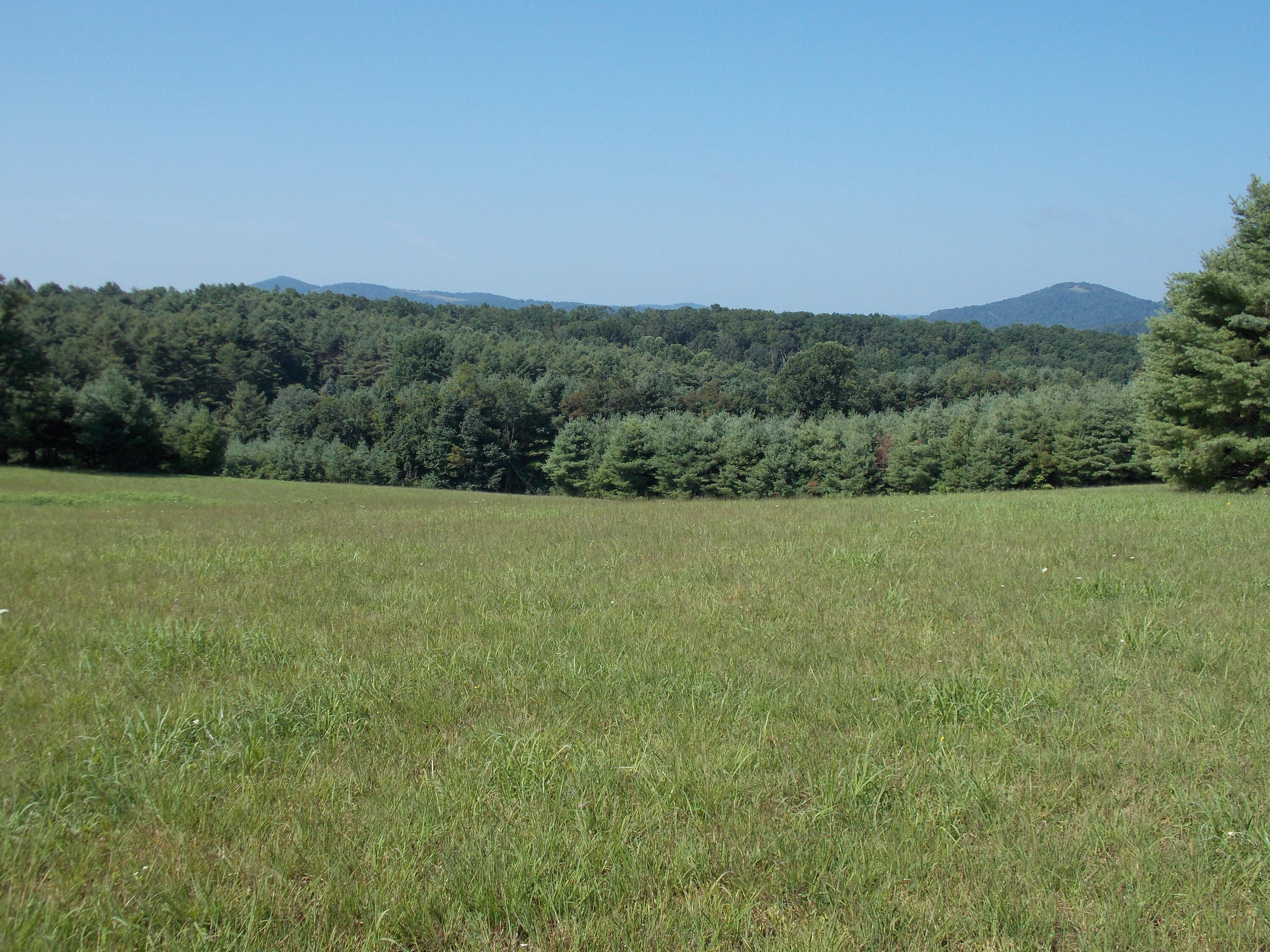 0 Roberson Mill Road Southeast Floyd, VA 24091 - Photo 12 of 26 a view of a field with an outdoor space