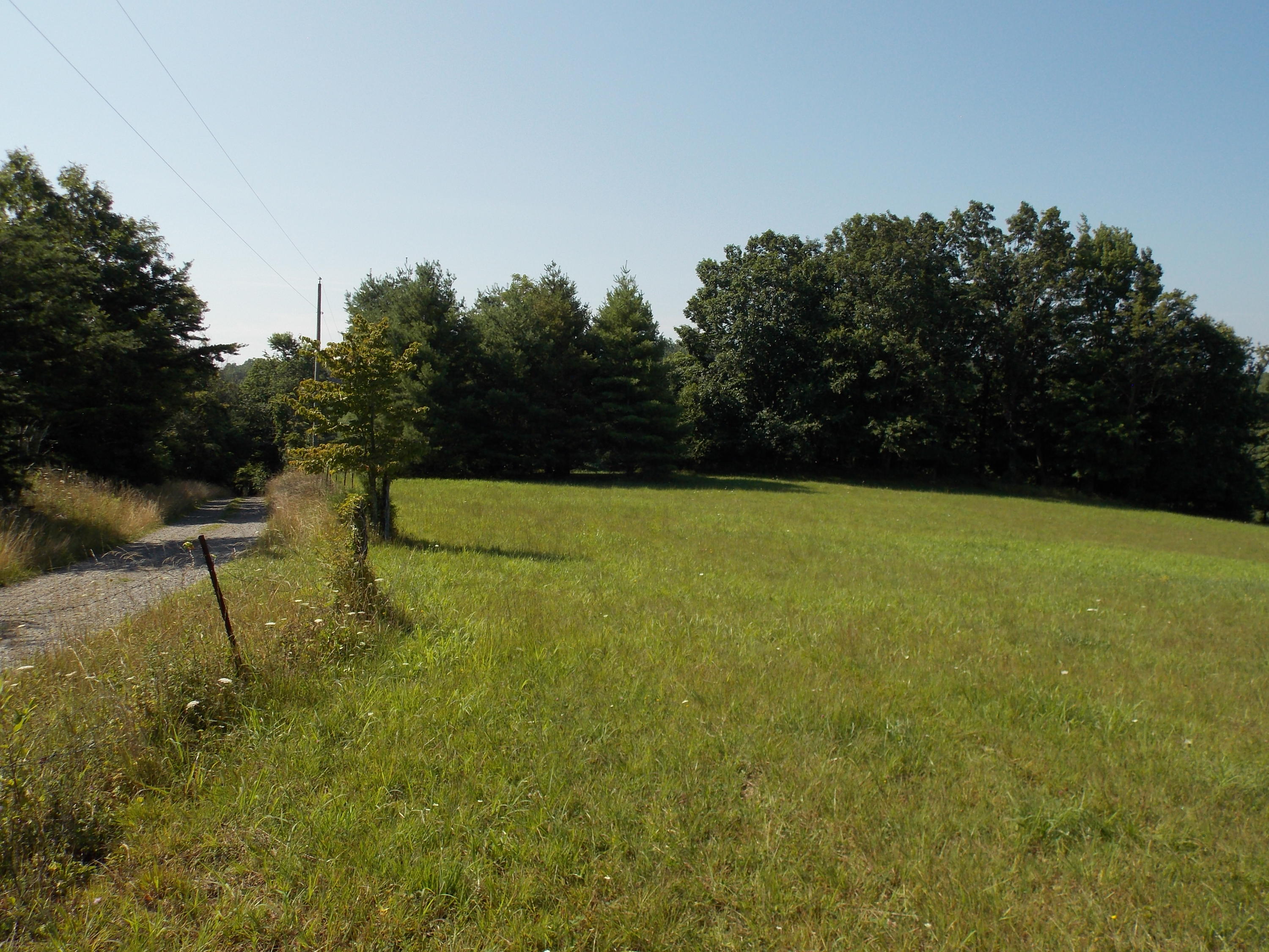 0 Roberson Mill Road Southeast Floyd, VA 24091 - Photo 14 of 26 a view of a yard with a tree
