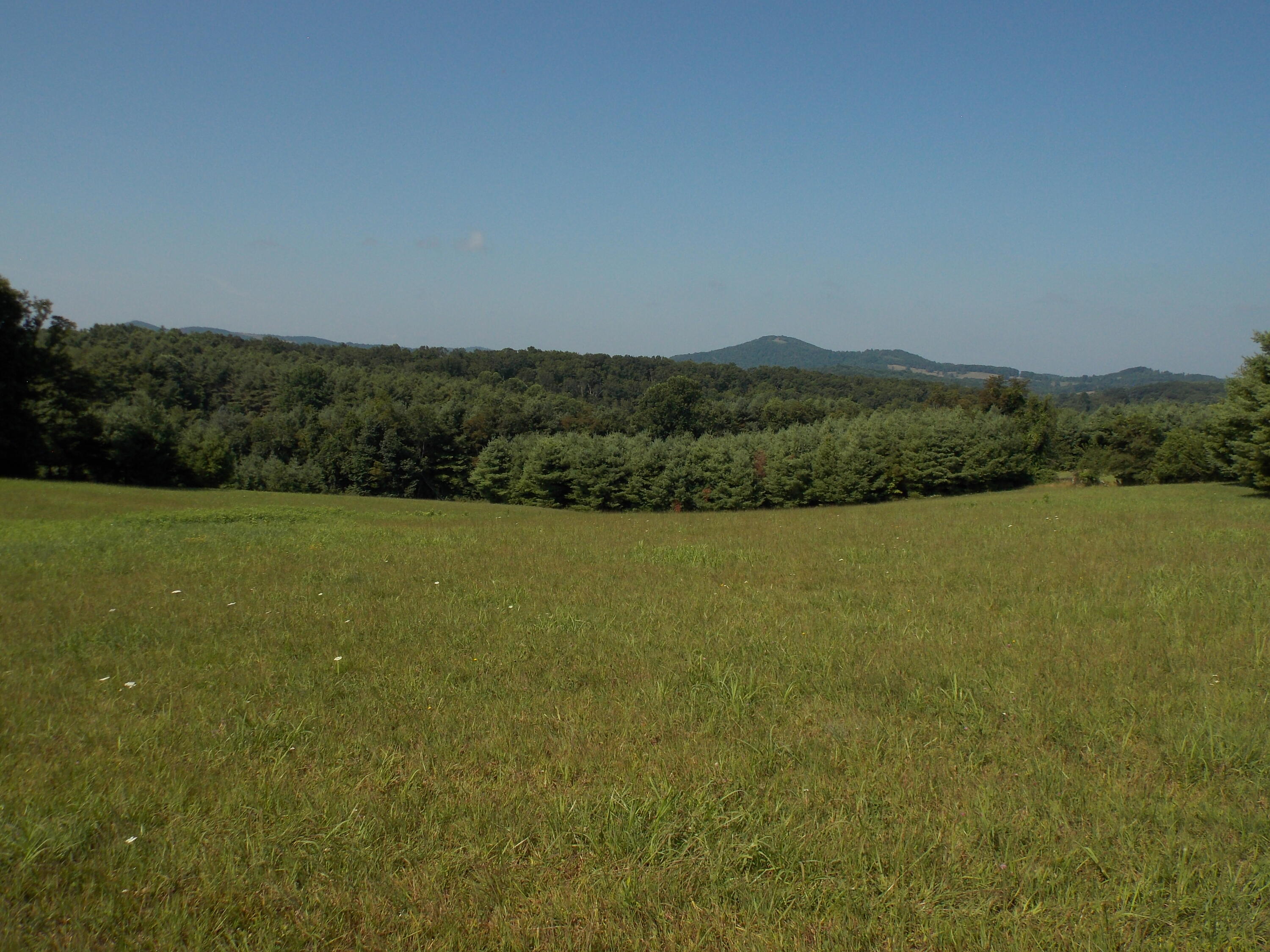 0 Roberson Mill Road Southeast Floyd, VA 24091 - Photo 15 of 26 a view of a field with an ocean