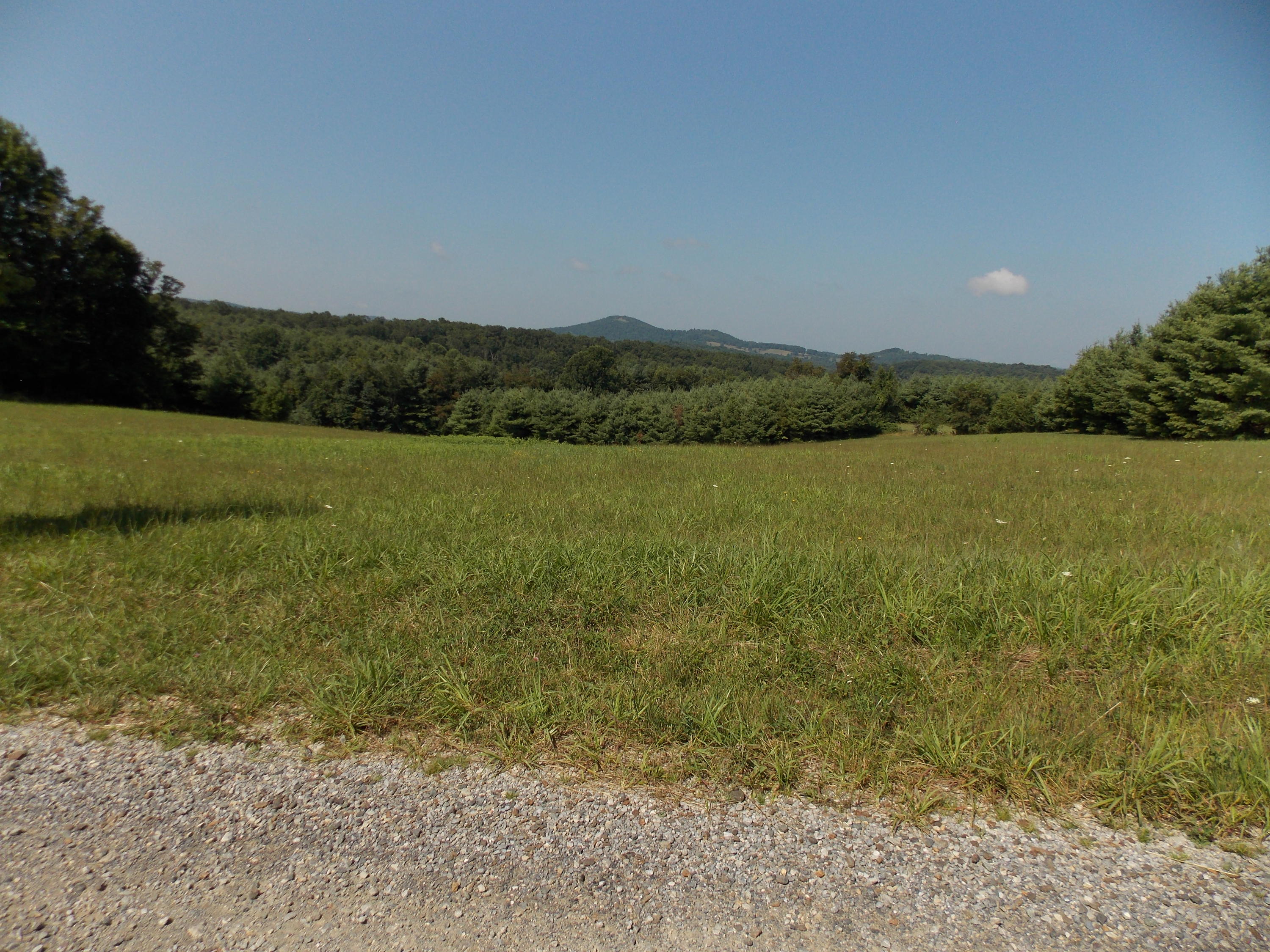 0 Roberson Mill Road Southeast Floyd, VA 24091 - Photo 16 of 26 a view of a lake with a yard