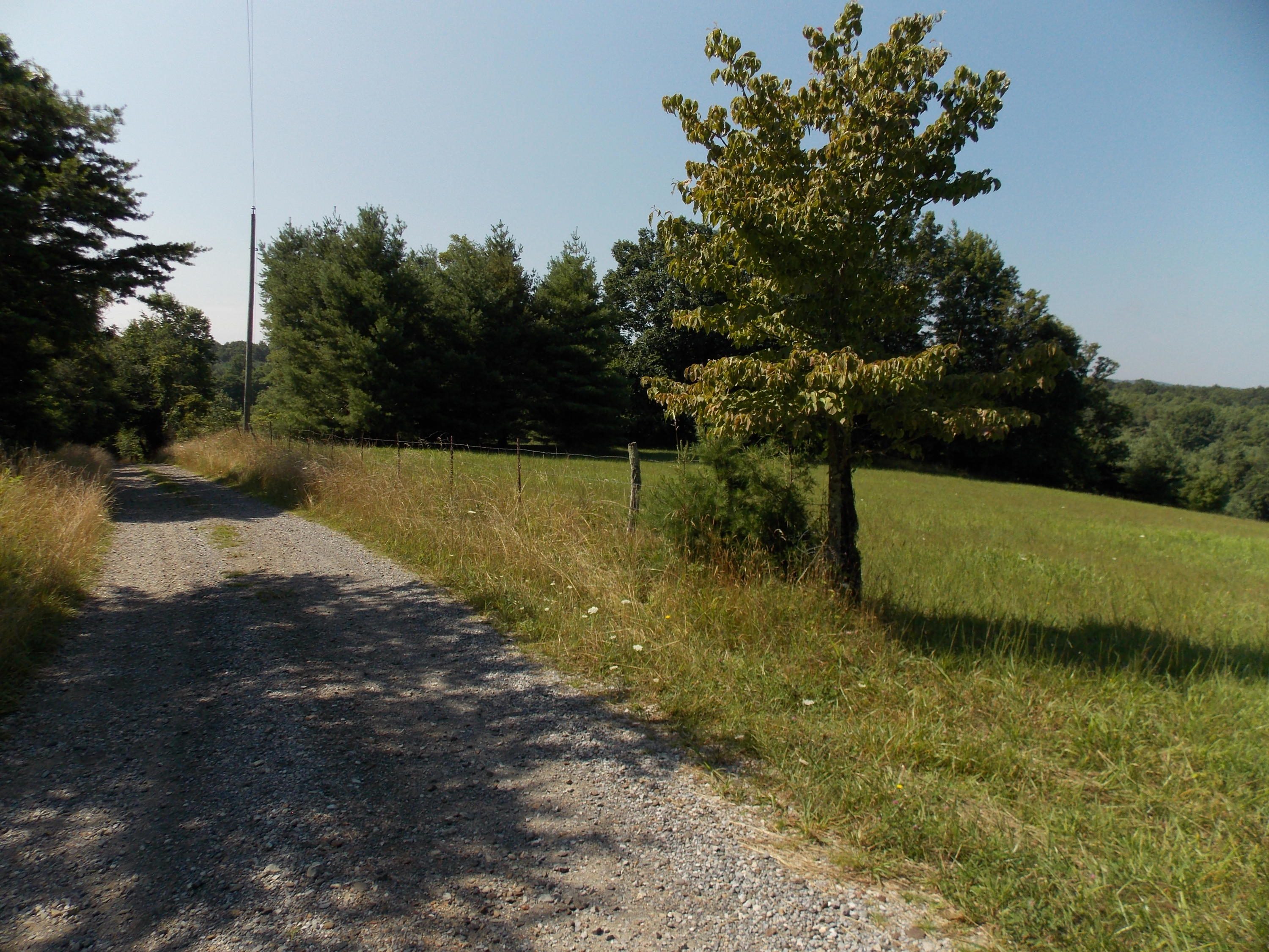 0 Roberson Mill Road Southeast Floyd, VA 24091 - Photo 17 of 26 a view of a lake with a yard