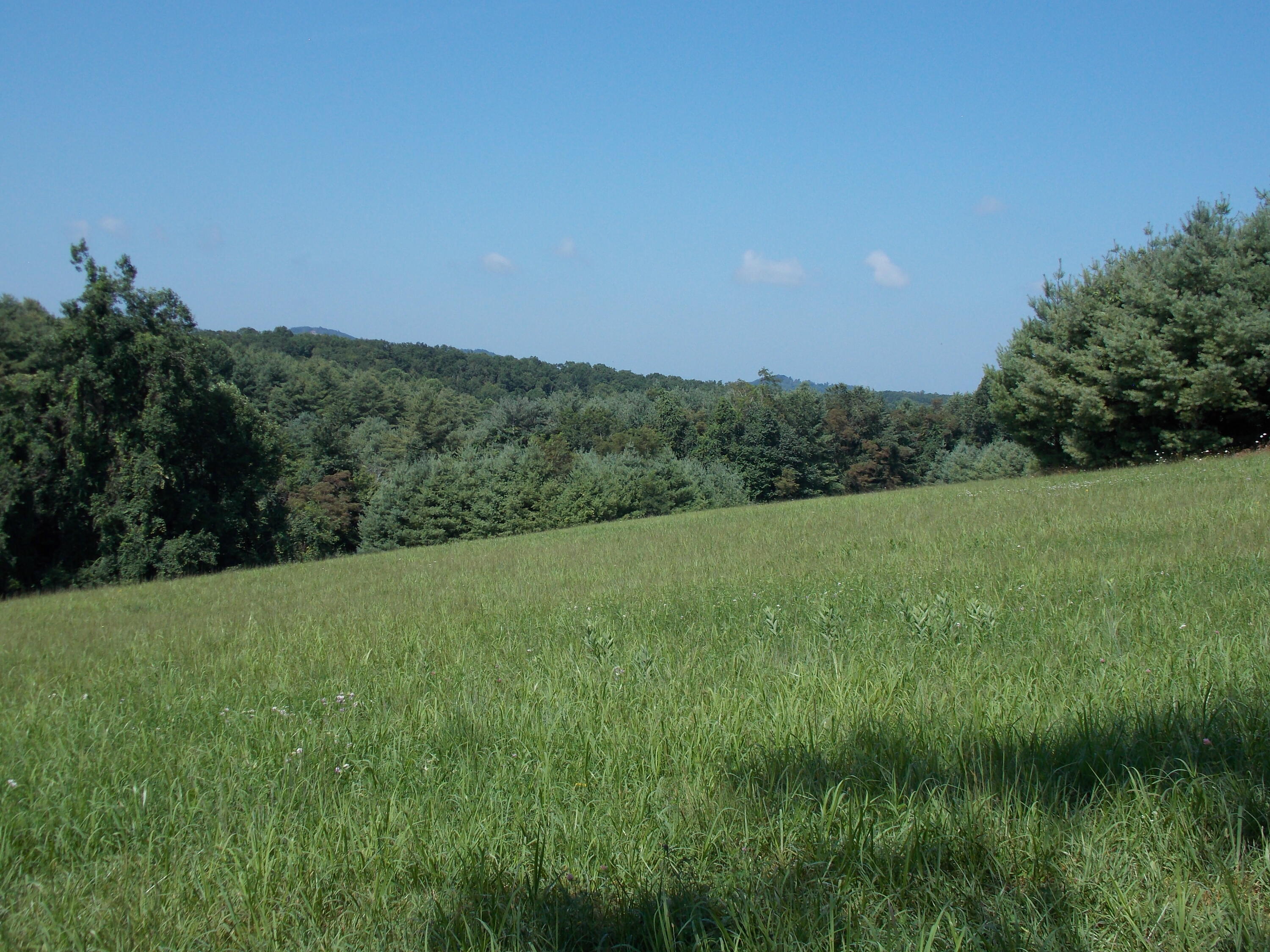 0 Roberson Mill Road Southeast Floyd, VA 24091 - Photo 19 of 26 a view of a lush green space with sea
