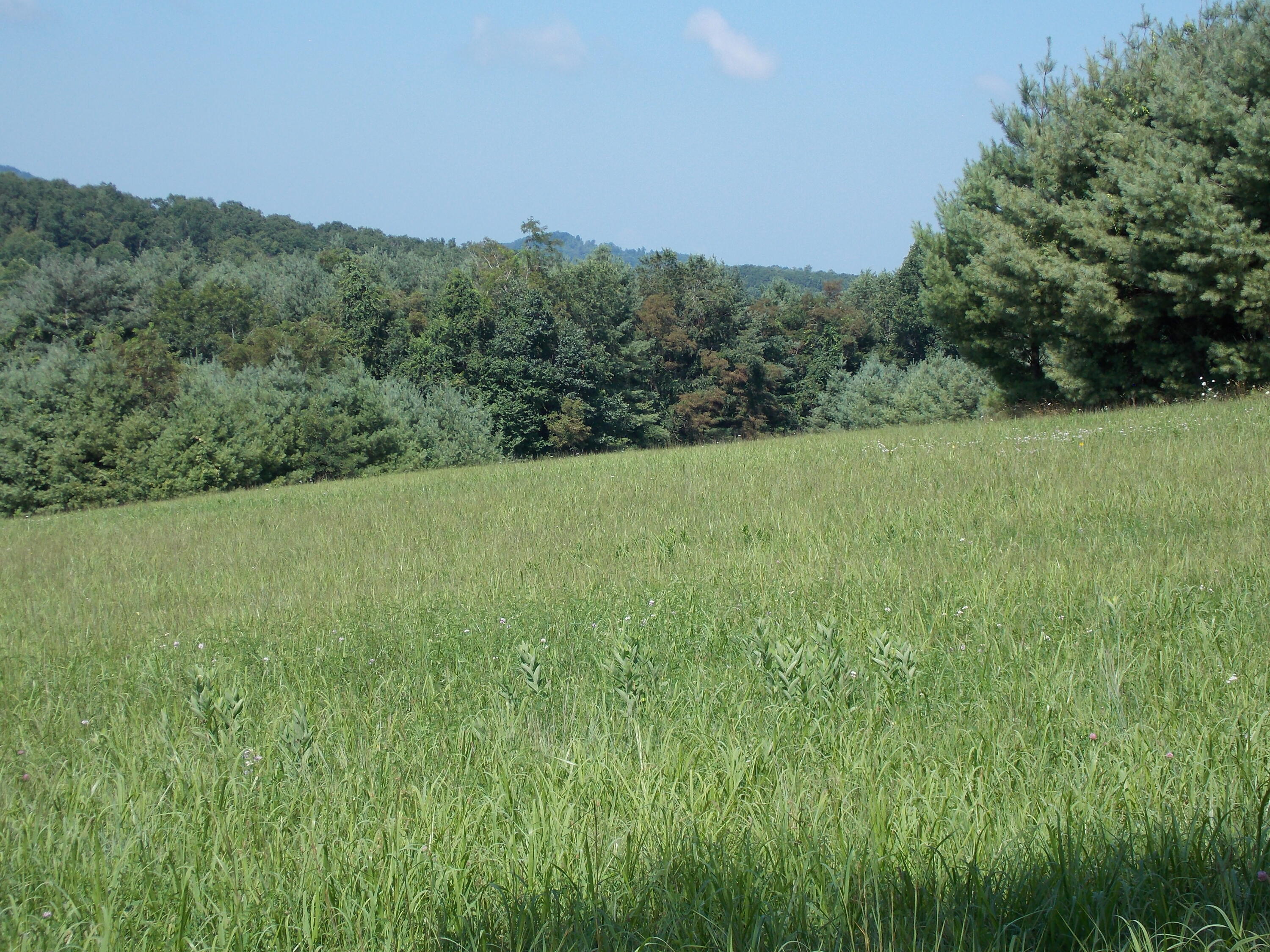 0 Roberson Mill Road Southeast Floyd, VA 24091 - Photo 20 of 26 a view of outdoor space and yard
