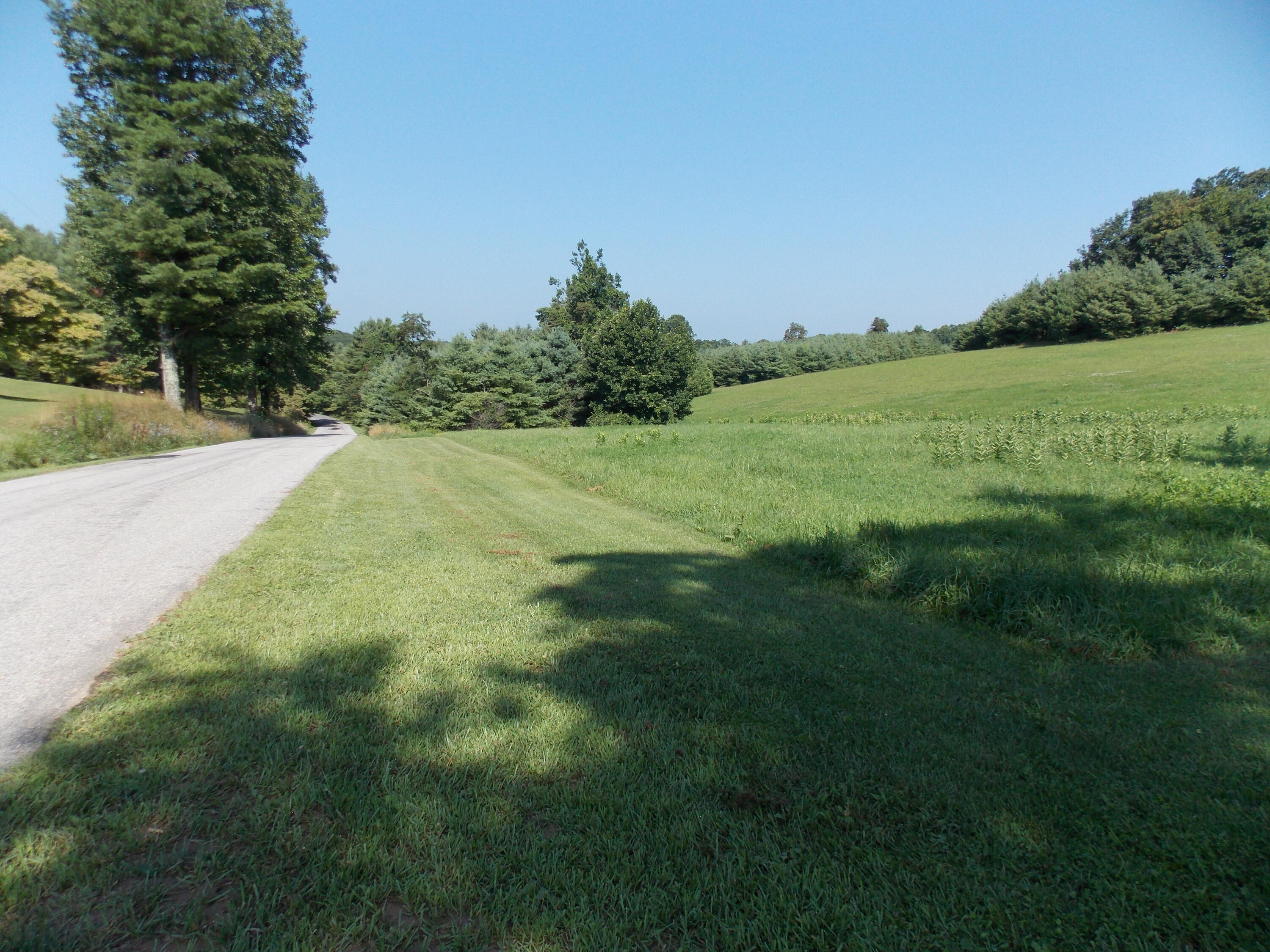 0 Roberson Mill Road Southeast Floyd, VA 24091 - Photo 3 of 26 a big yard with lots of green space and mountain view in back