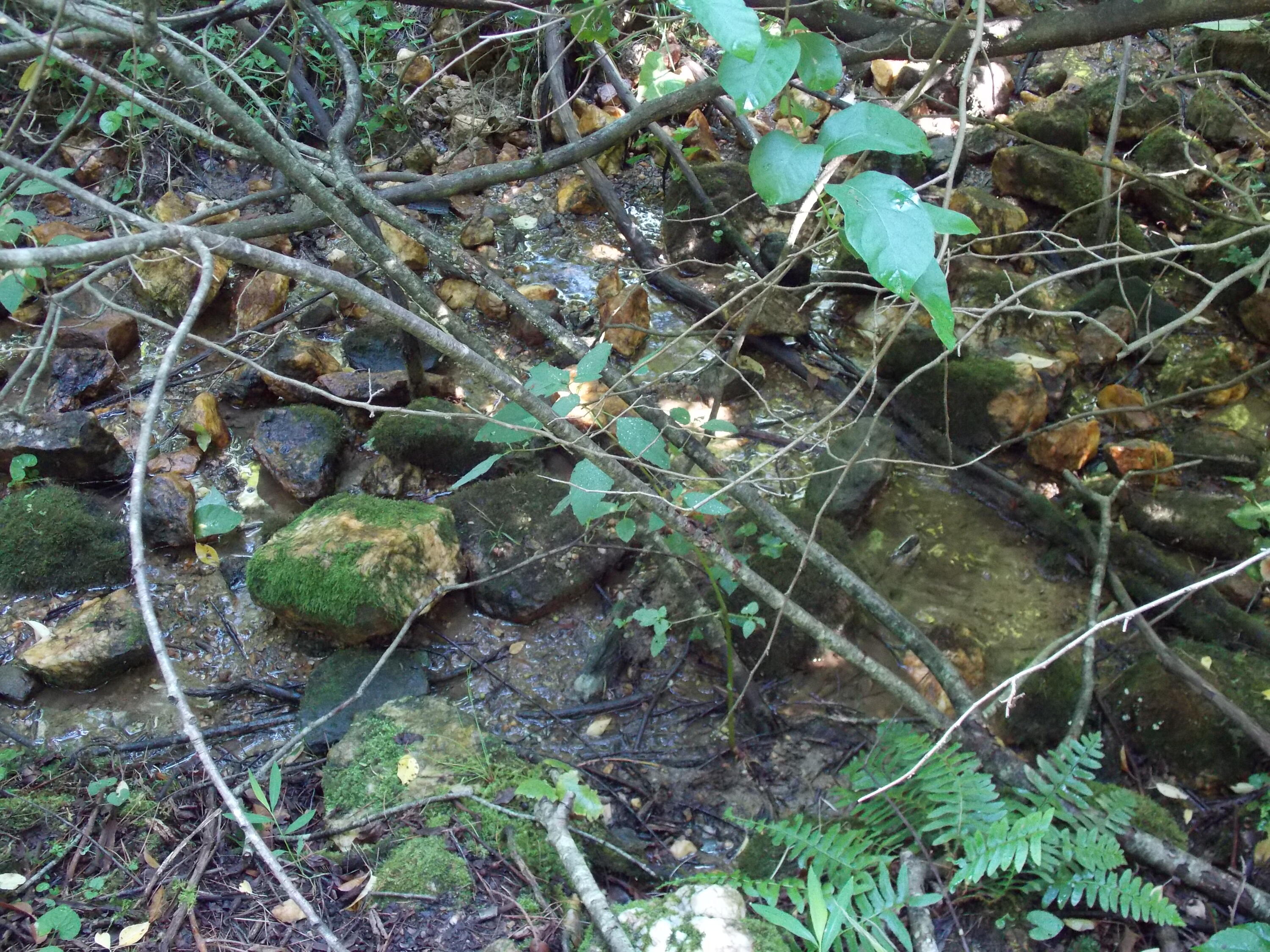 0 Roberson Mill Road Southeast Floyd, VA 24091 - Photo 21 of 26 a backyard of a house