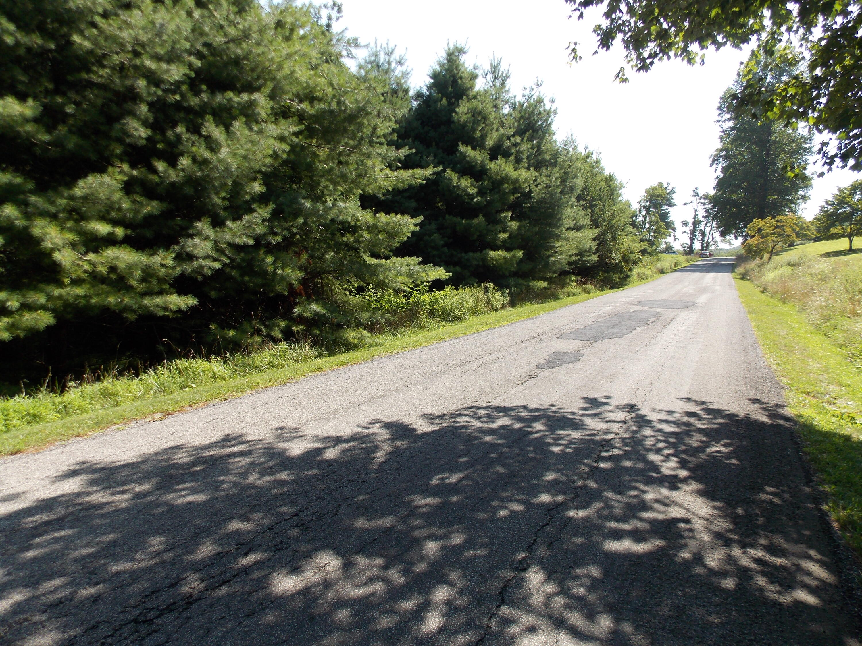0 Roberson Mill Road Southeast Floyd, VA 24091 - Photo 22 of 26 a view of a road with a yard