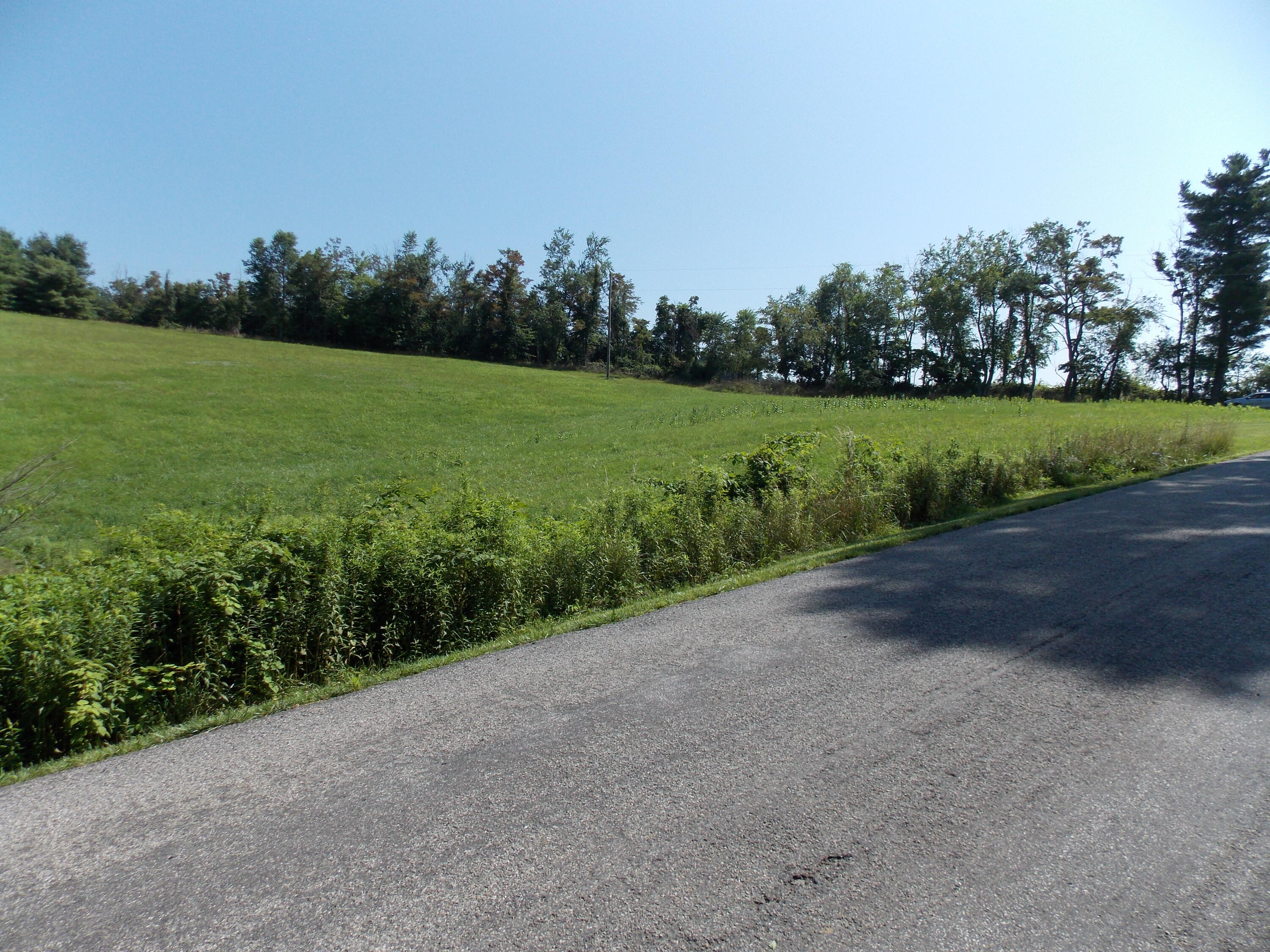 0 Roberson Mill Road Southeast Floyd, VA 24091 - Photo 23 of 26 a view of a field with grass and trees