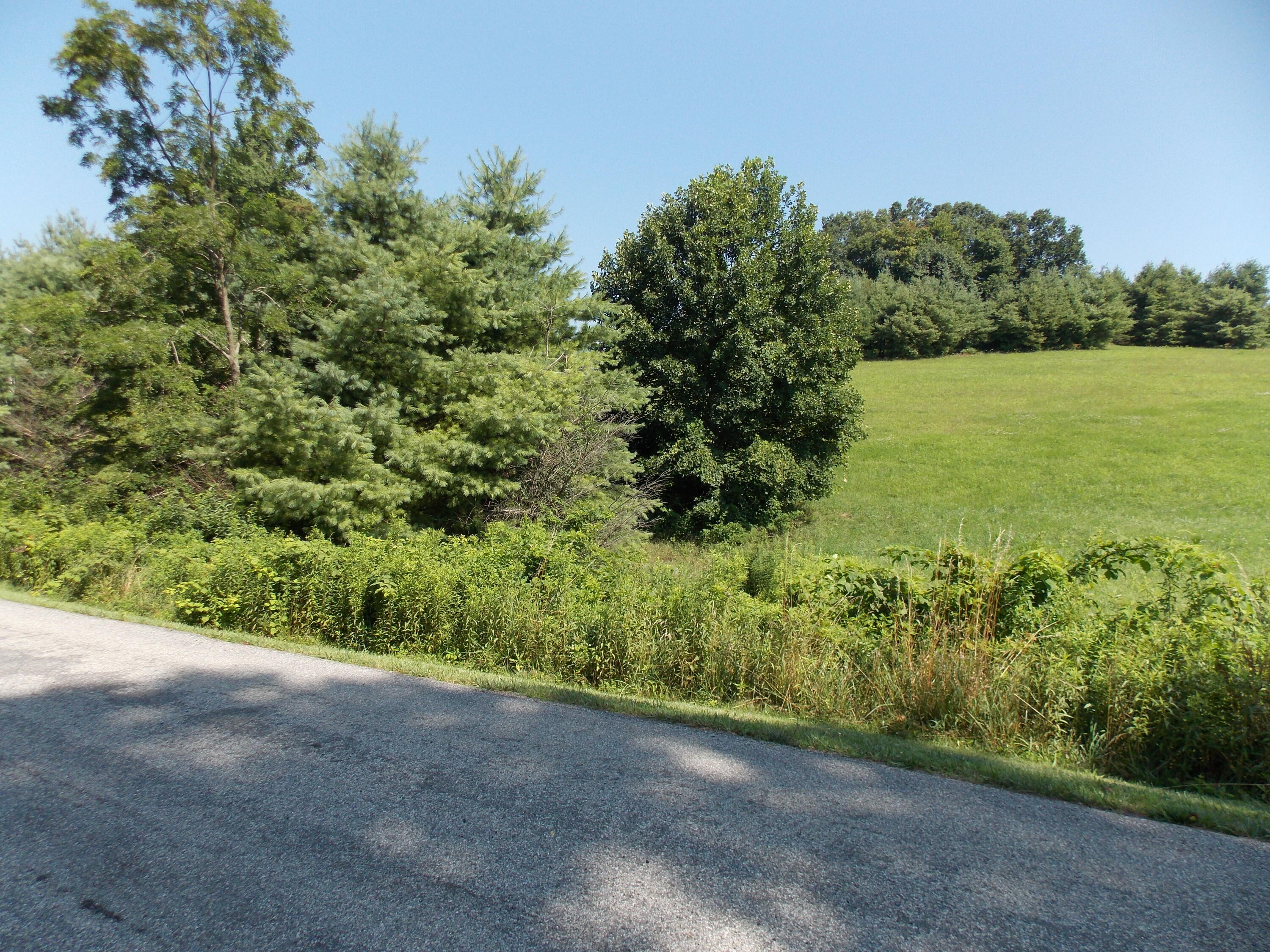 0 Roberson Mill Road Southeast Floyd, VA 24091 - Photo 24 of 26 a view of a lush green space with sea