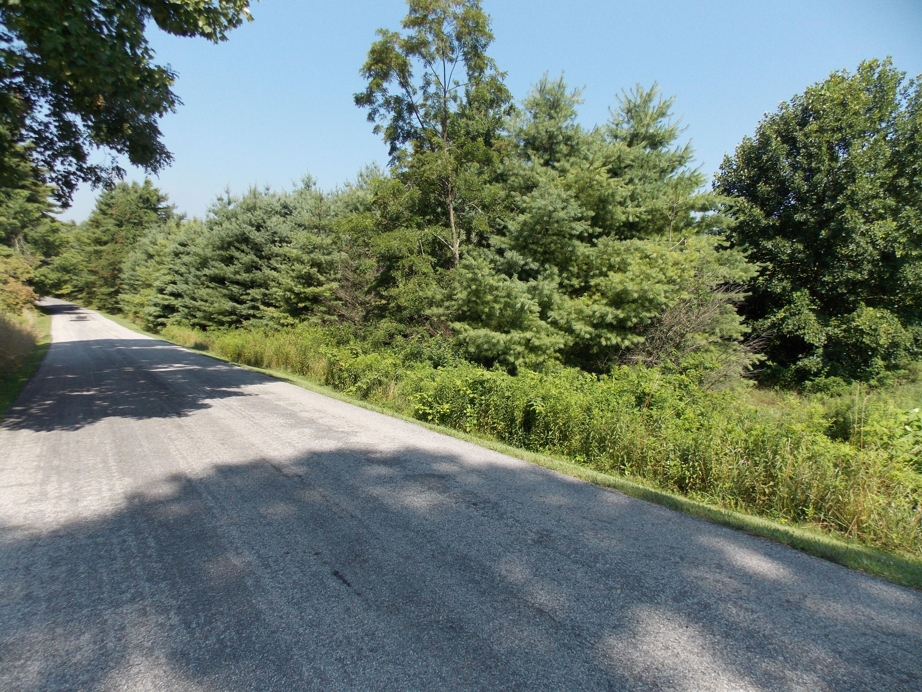 0 Roberson Mill Road Southeast Floyd, VA 24091 - Photo 25 of 26 a view of a road with a yard