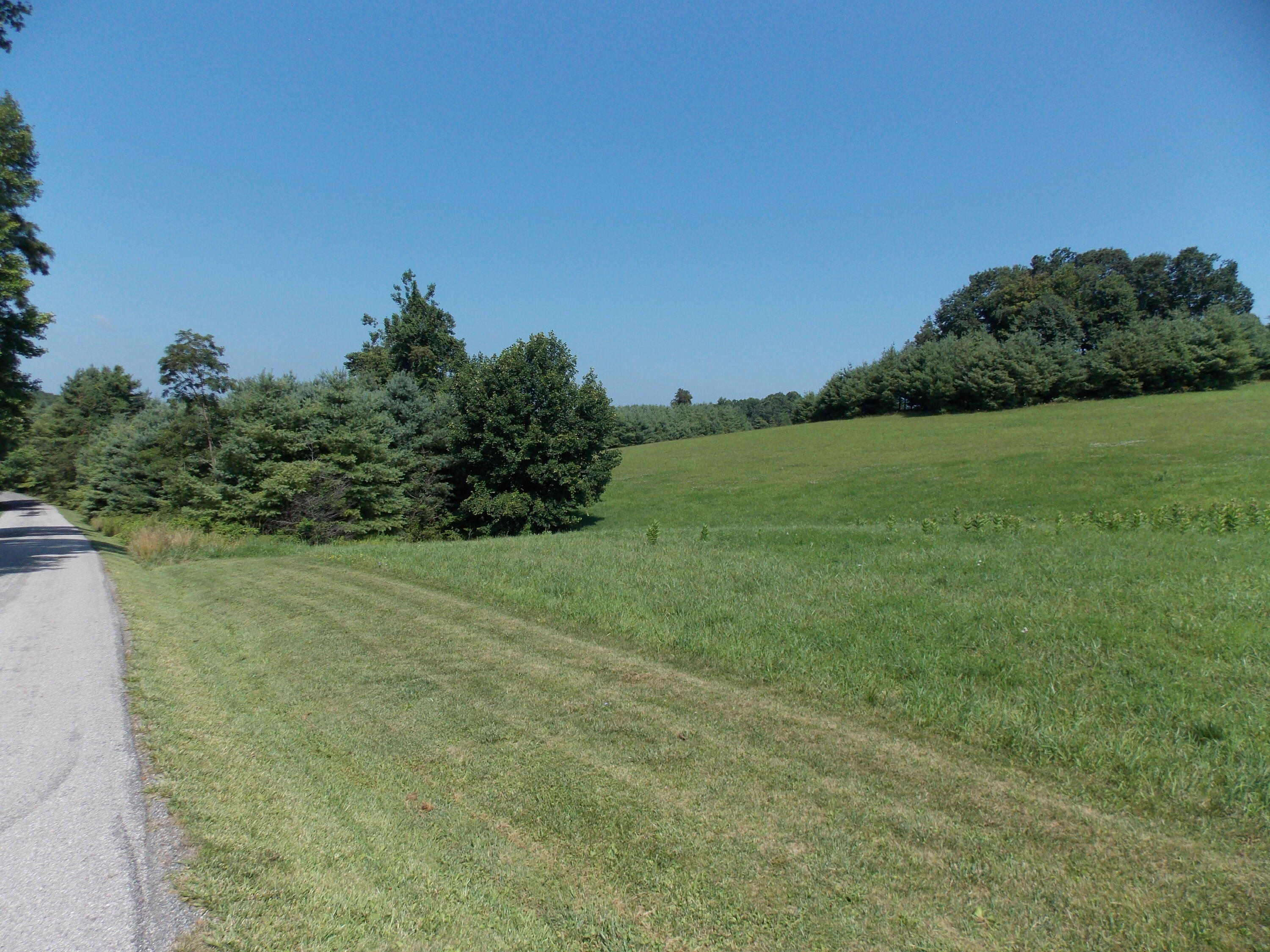 0 Roberson Mill Road Southeast Floyd, VA 24091 - Photo 26 of 26 a view of a field with an trees in the background