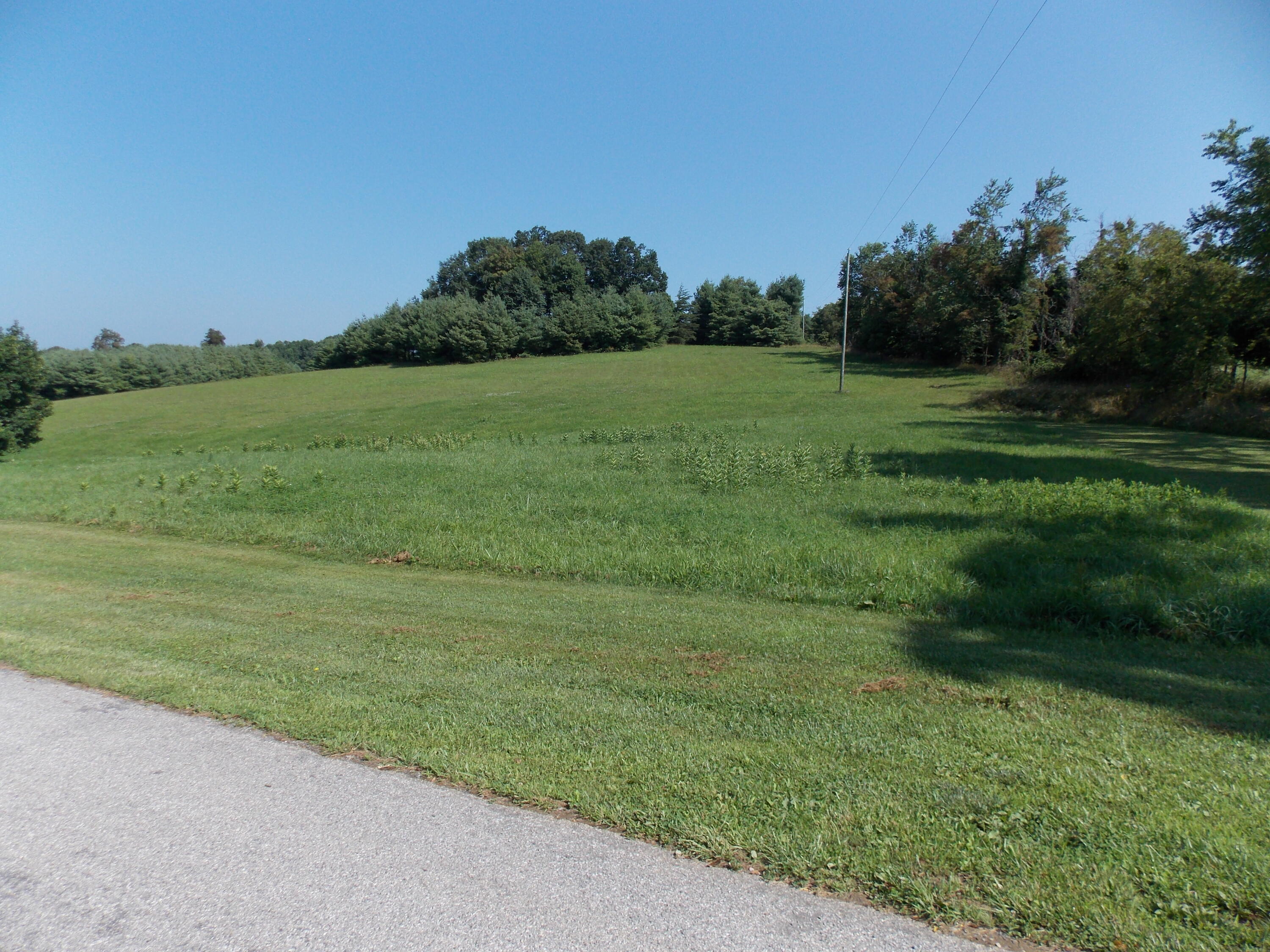 0 Roberson Mill Road Southeast Floyd, VA 24091 - Photo 4 of 26
