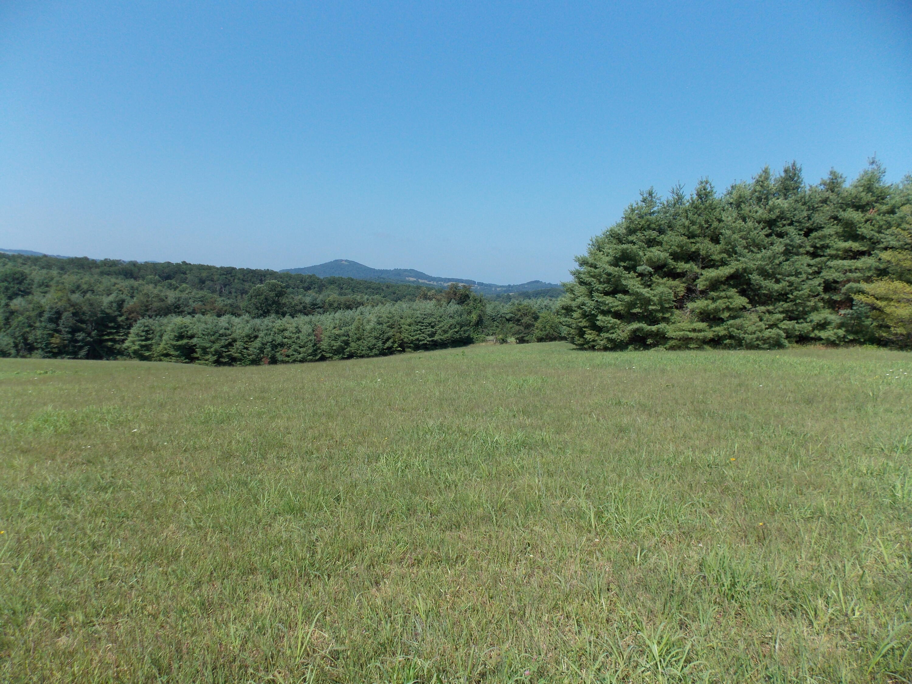 0 Roberson Mill Road Southeast Floyd, VA 24091 - Photo 5 of 26 a view of a lake with houses in the back