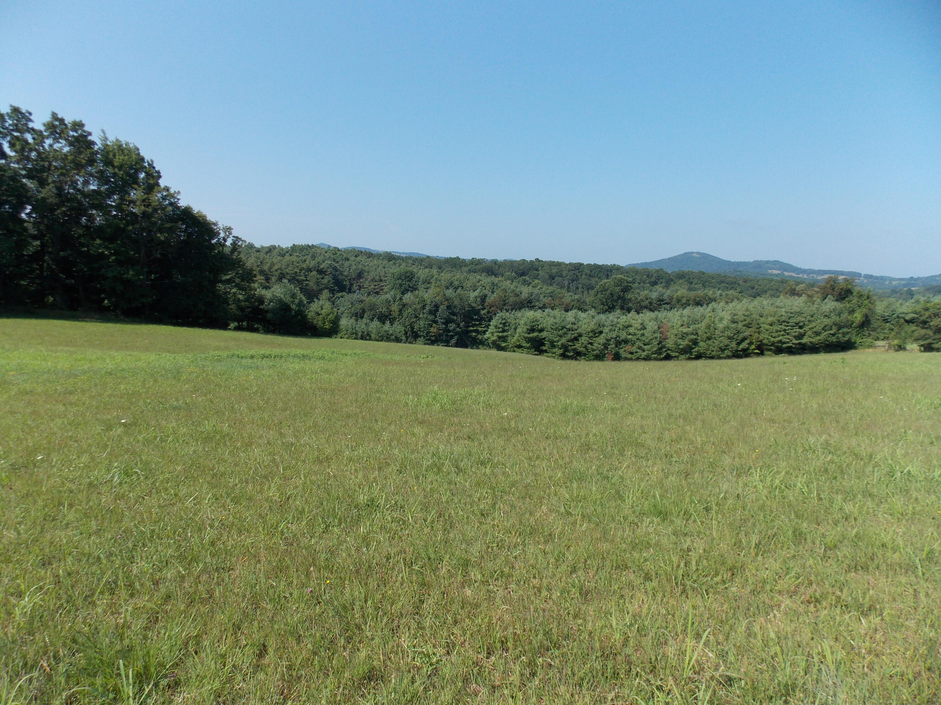 0 Roberson Mill Road Southeast Floyd, VA 24091 - Photo 6 of 26 a view of a field with an ocean