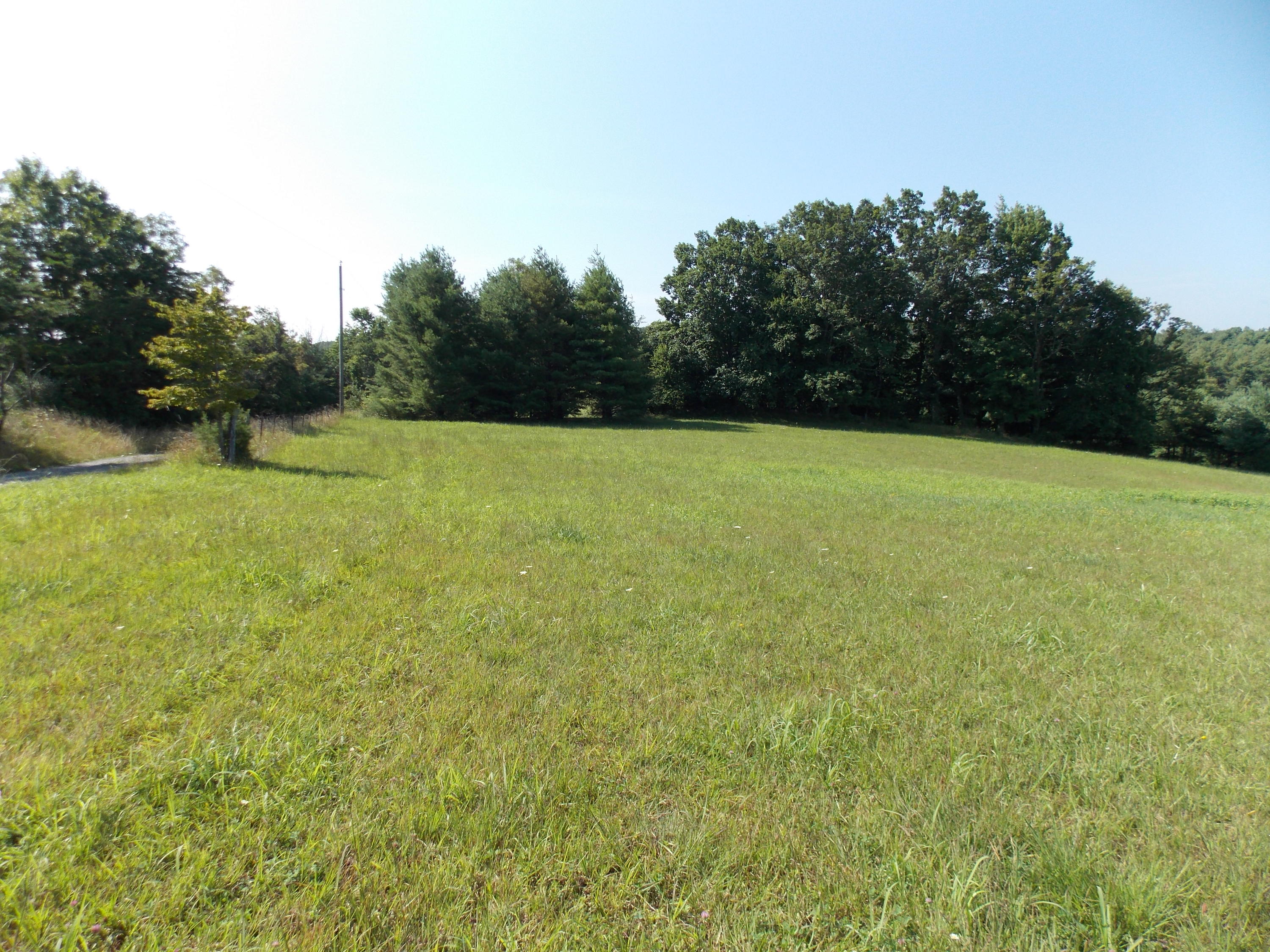 0 Roberson Mill Road Southeast Floyd, VA 24091 - Photo 7 of 26 a view of open field with trees