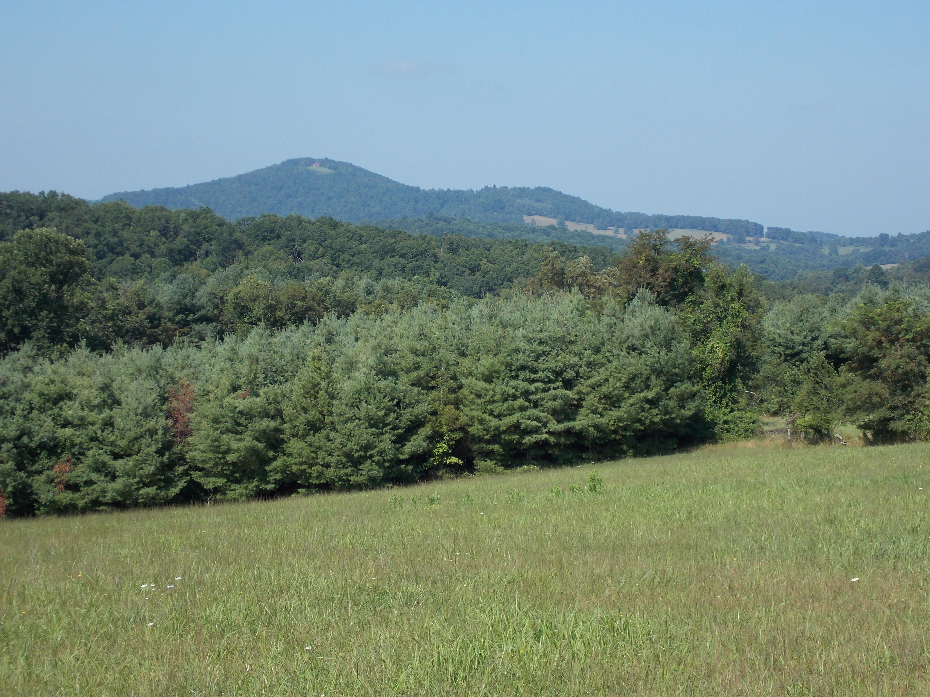 0 Roberson Mill Road Southeast Floyd, VA 24091 - Photo 8 of 26 a view of a lush green hillside and a houses