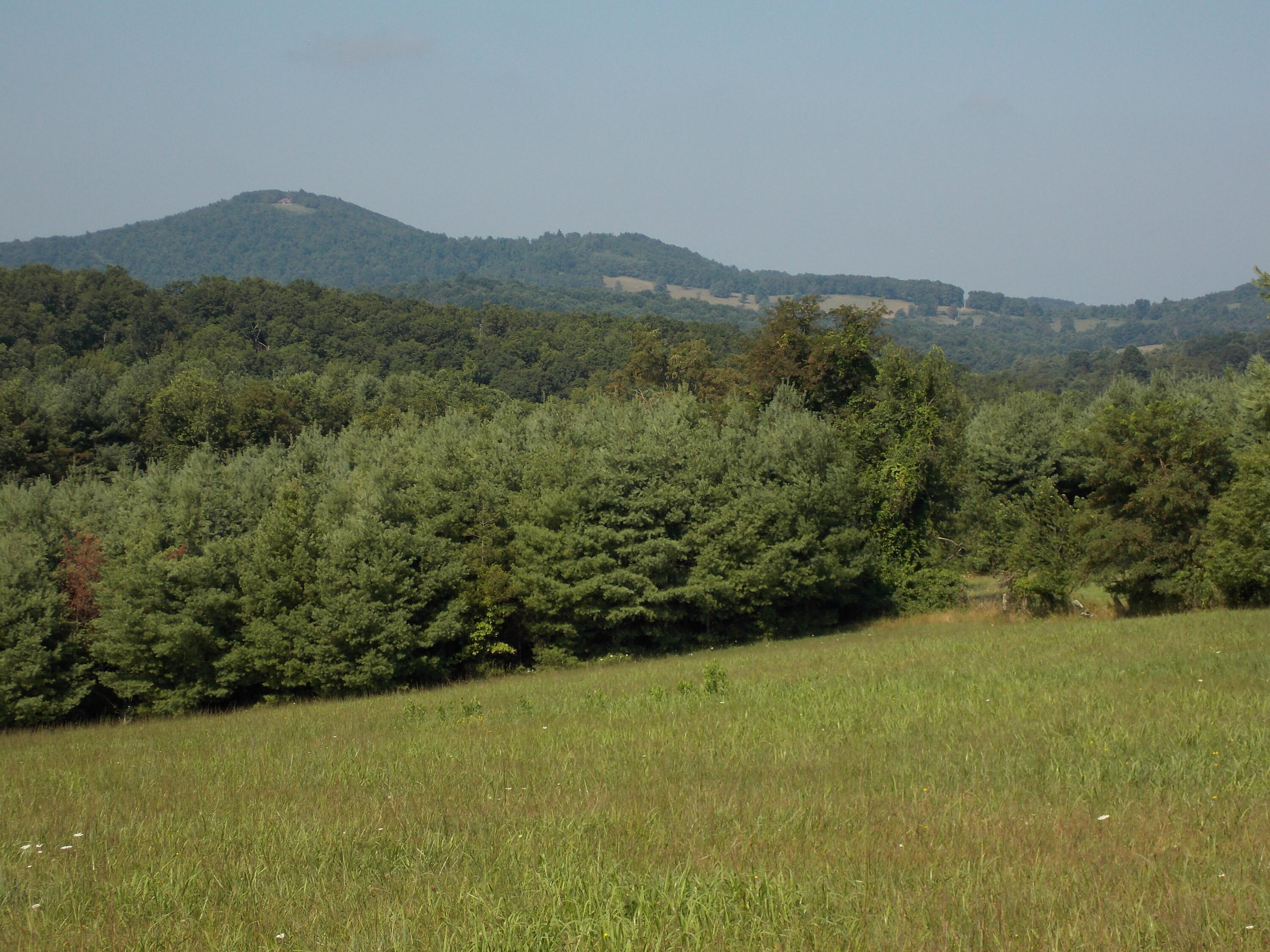0 Roberson Mill Road Southeast Floyd, VA 24091 - Photo 10 of 26 a view of a lush green hillside and a houses