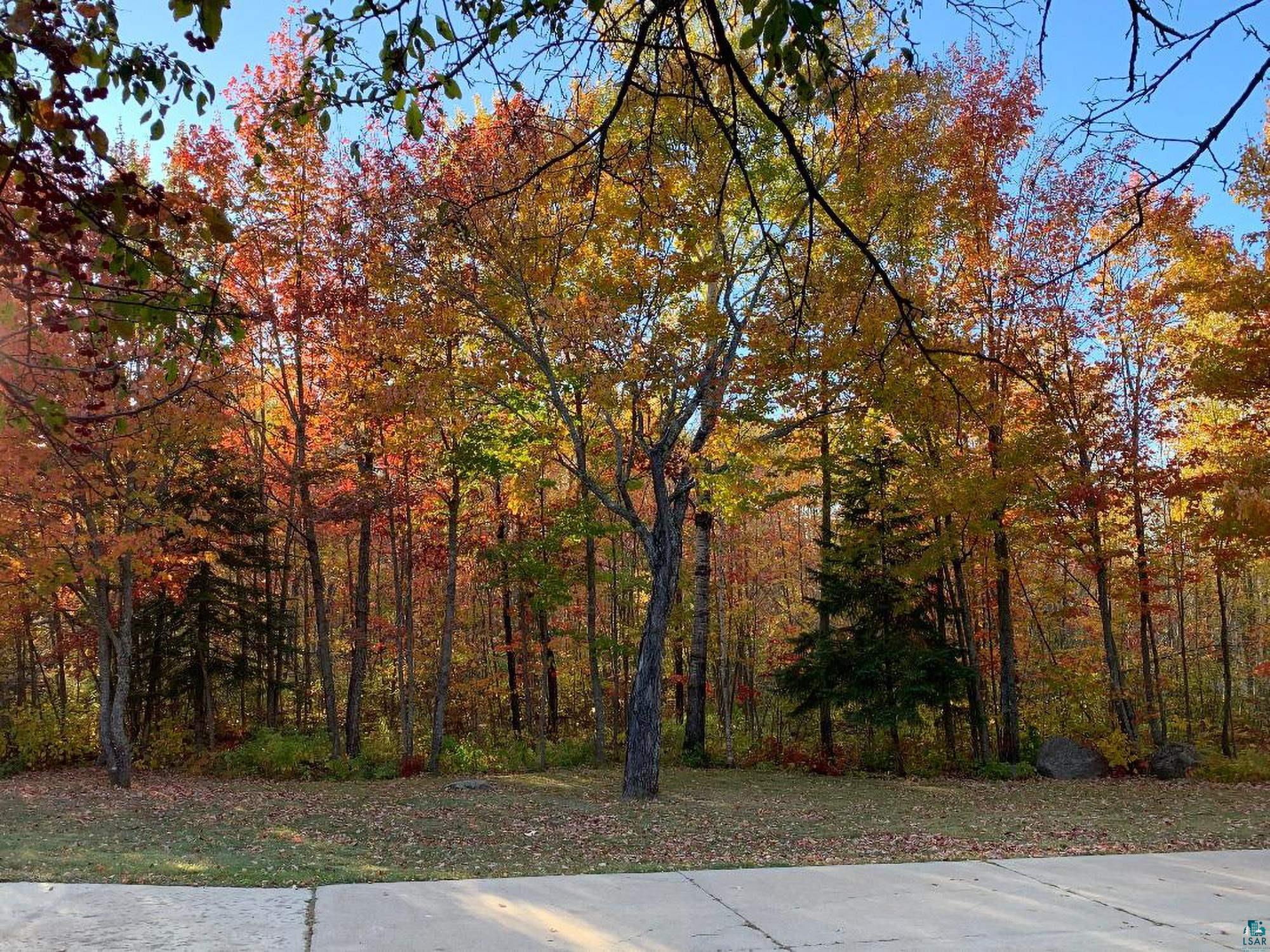 2606 Bear Island Resort Road Babbitt, MN 55706 - Photo 72 of 82