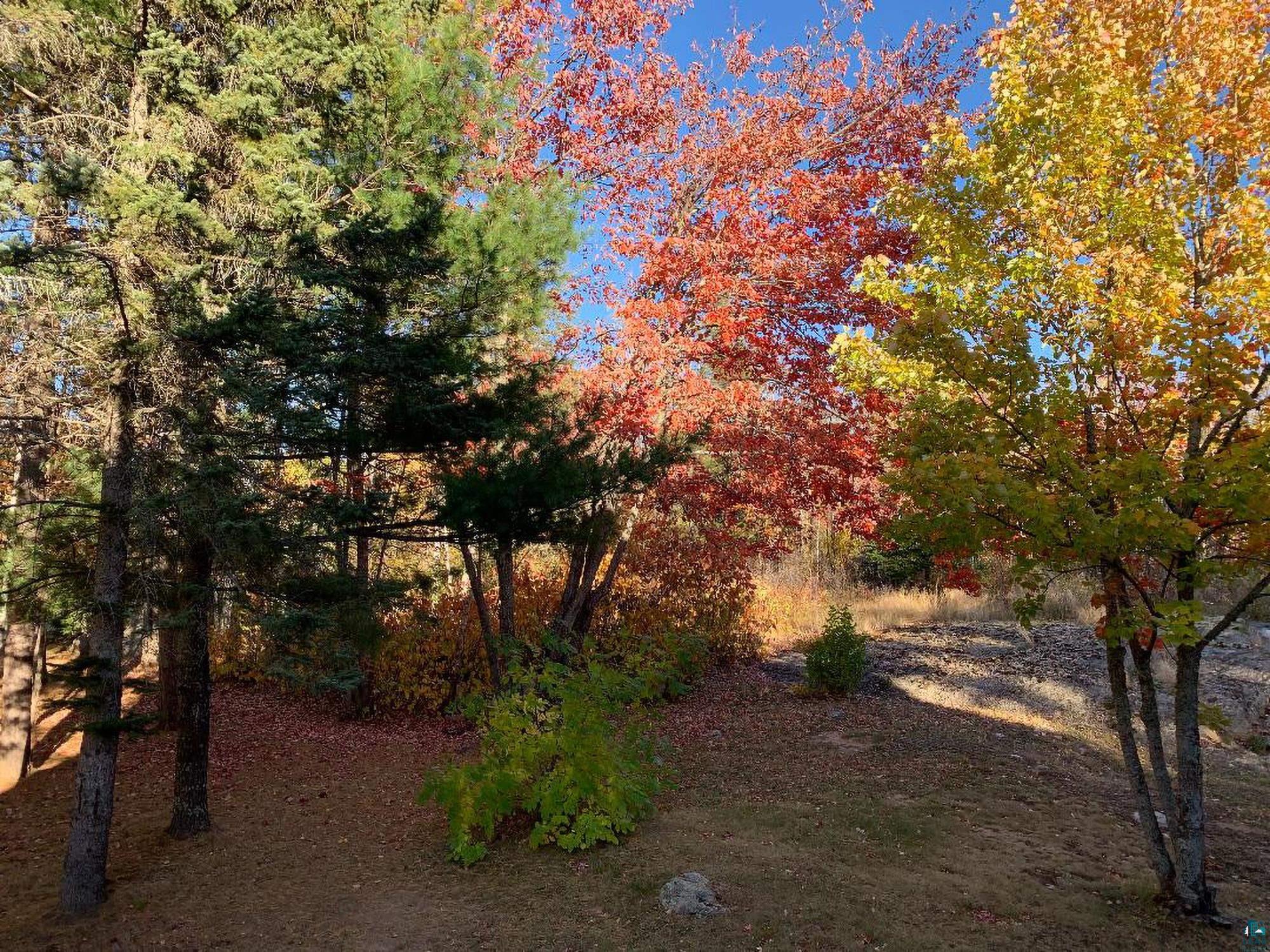 2606 Bear Island Resort Road Babbitt, MN 55706 - Photo 76 of 82