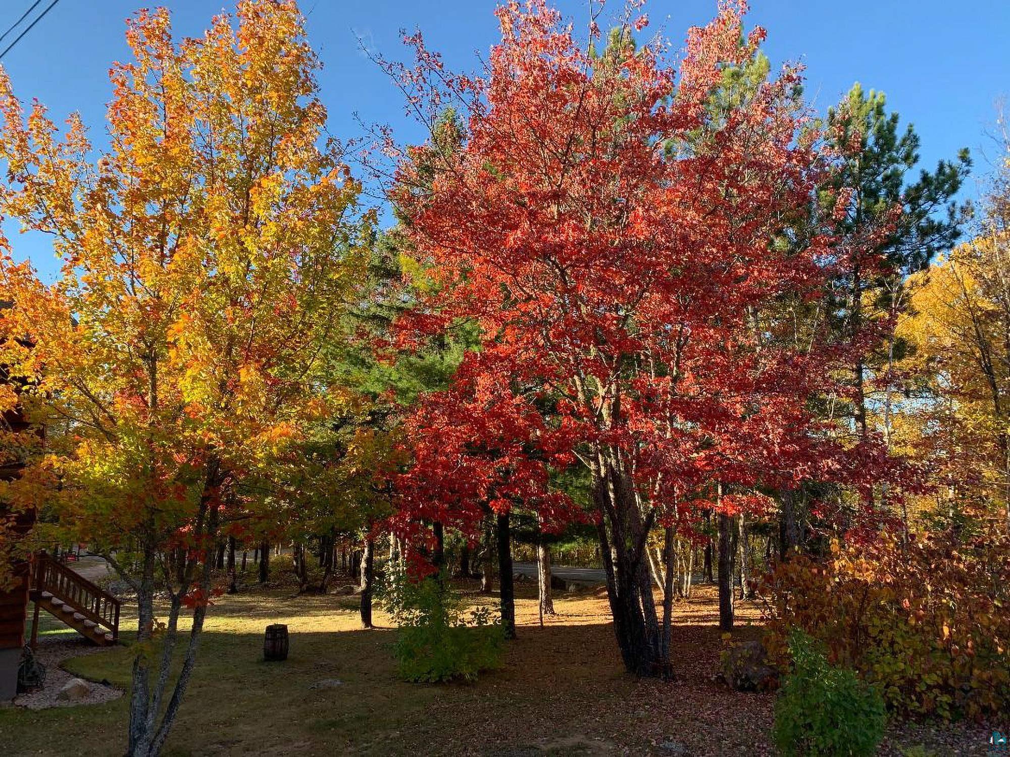 2606 Bear Island Resort Road Babbitt, MN 55706 - Photo 77 of 82