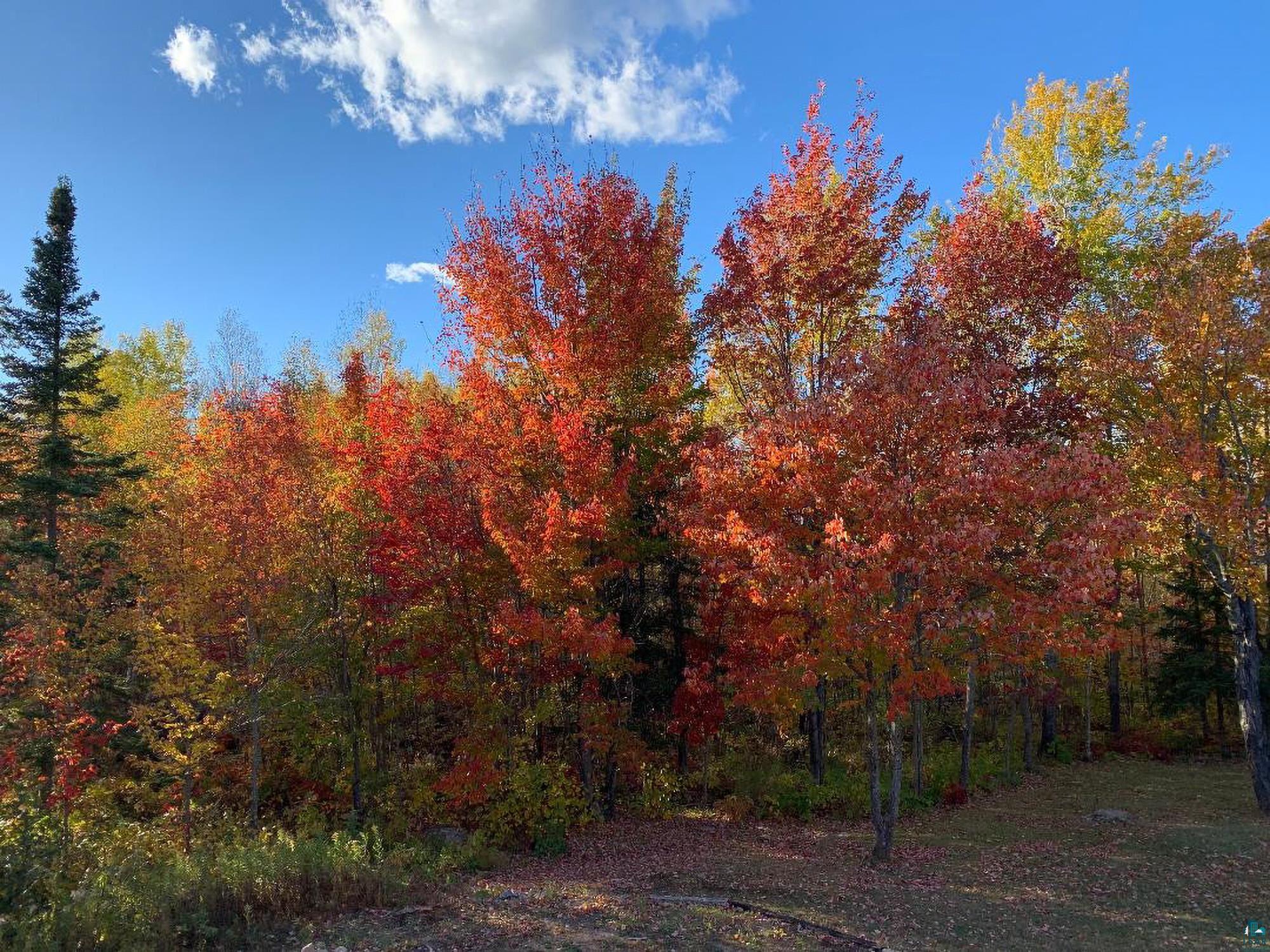 2606 Bear Island Resort Road Babbitt, MN 55706 - Photo 79 of 82