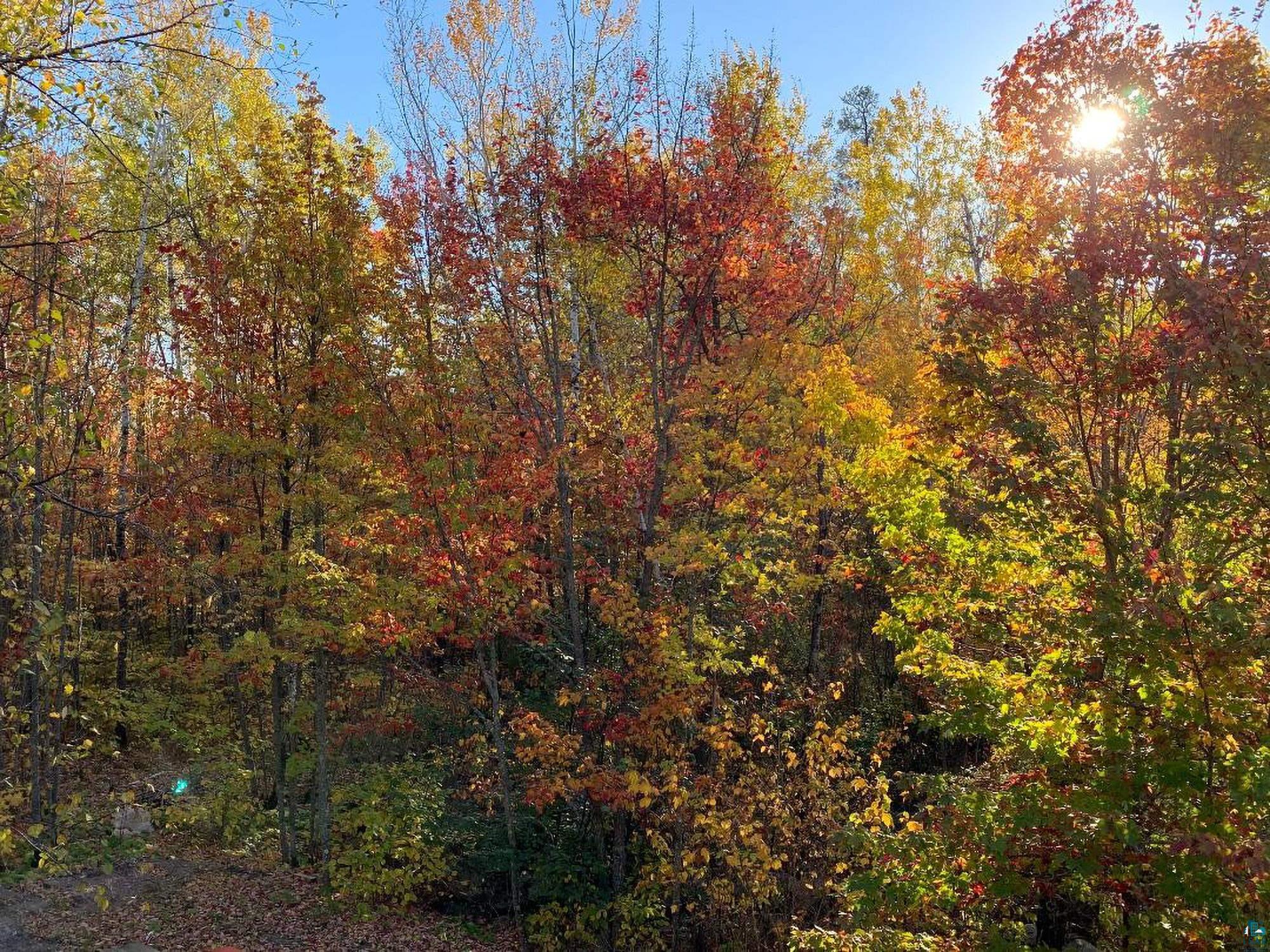 2606 Bear Island Resort Road Babbitt, MN 55706 - Photo 80 of 82