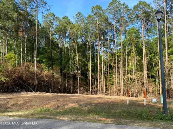 $31,000 | Sweet Birch Drive, Carriere, MS 39426