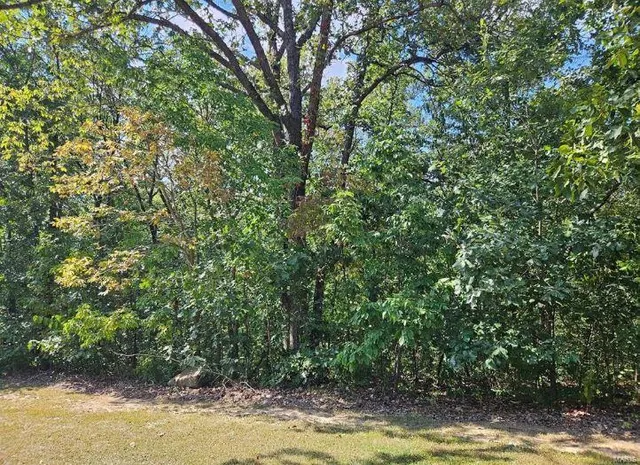 $28,500 | 0 Lot 7 Tarrant's Estates, Bowling Green, MO 63334