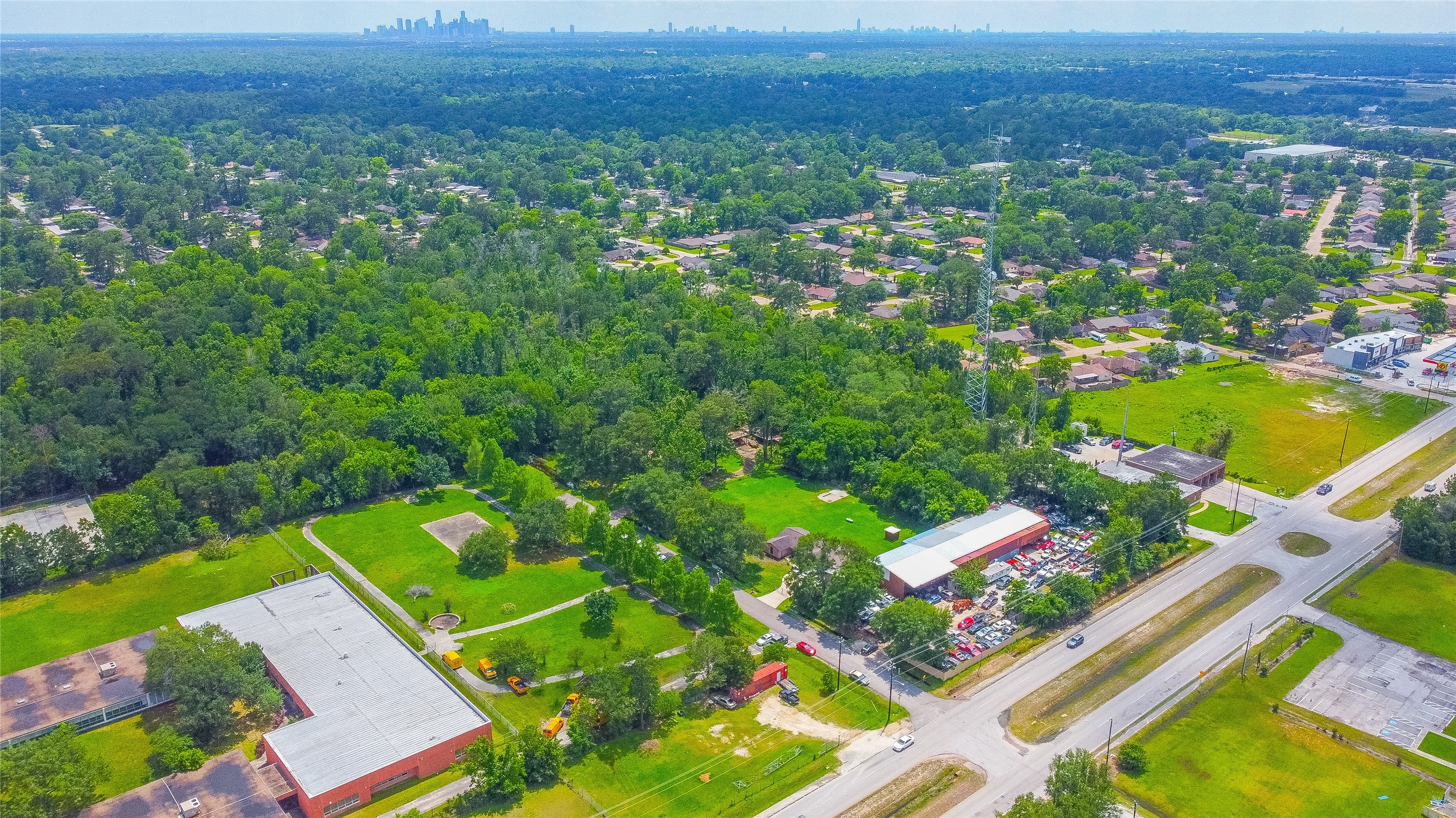 an aerial view of green landscape with trees houses and mountain view